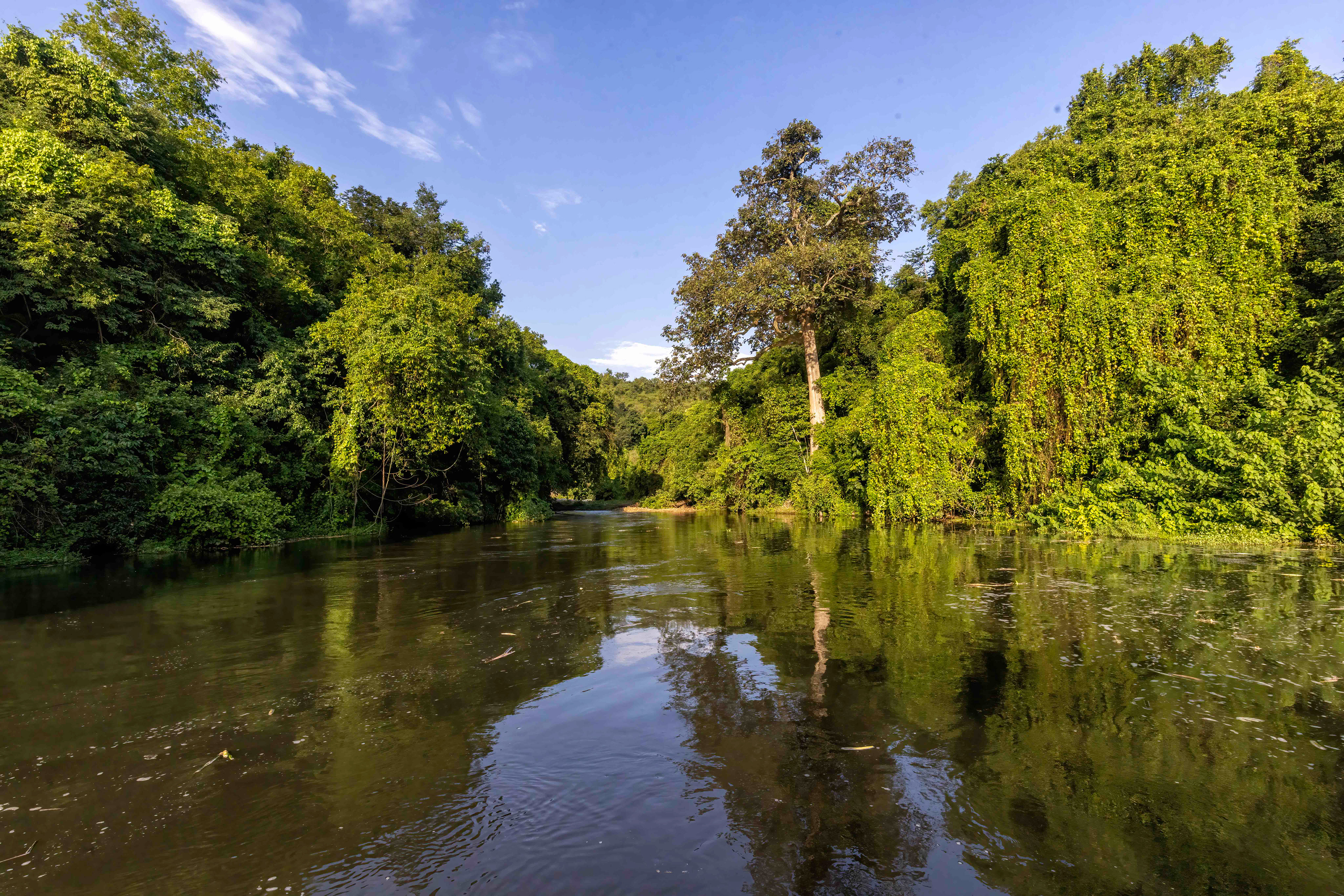 Small jungle Cul-de-sac near the base of Murchison Falls, Uganda 