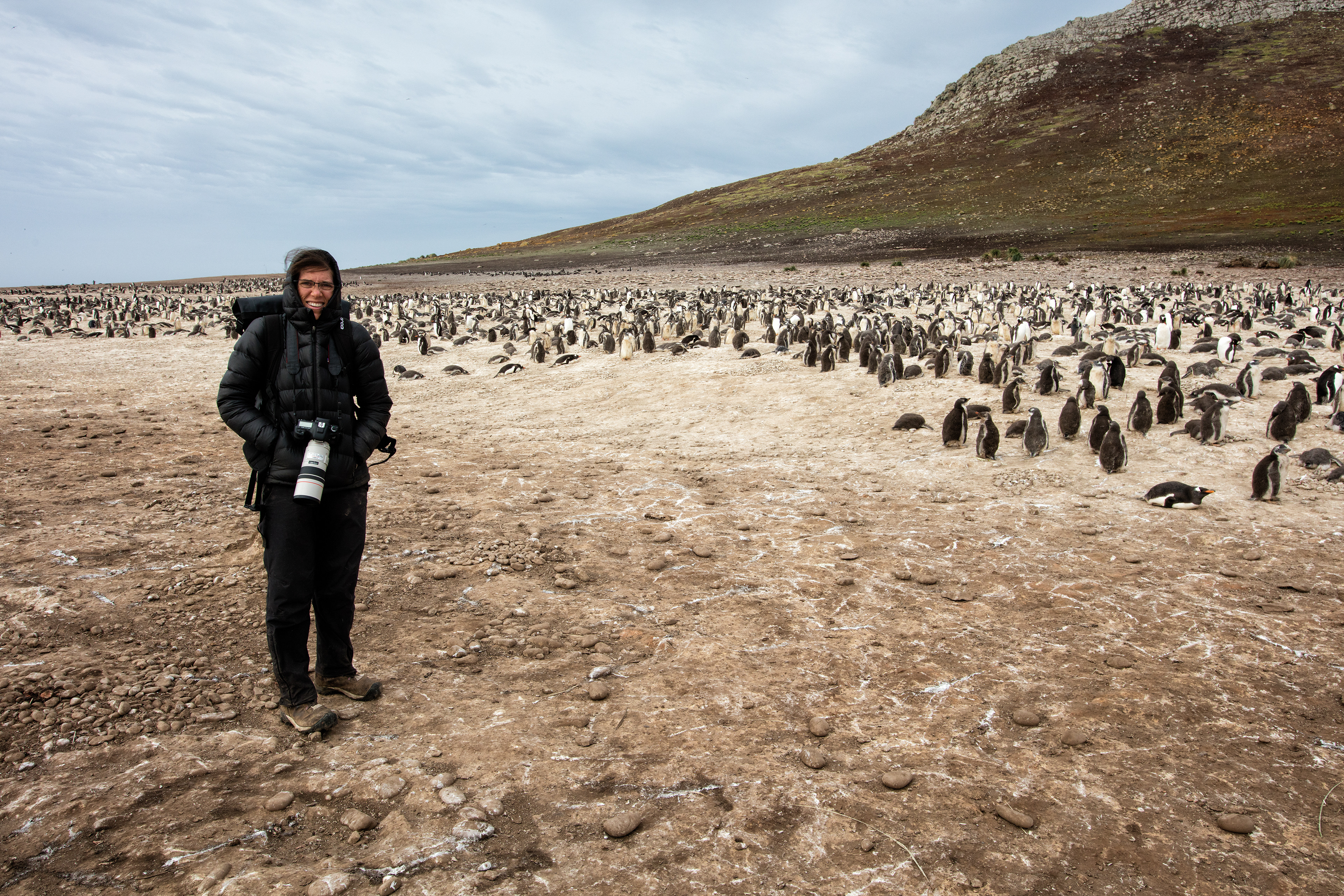 Robin braving the cold beside a huge Gentoo Penguin colony - Falklands