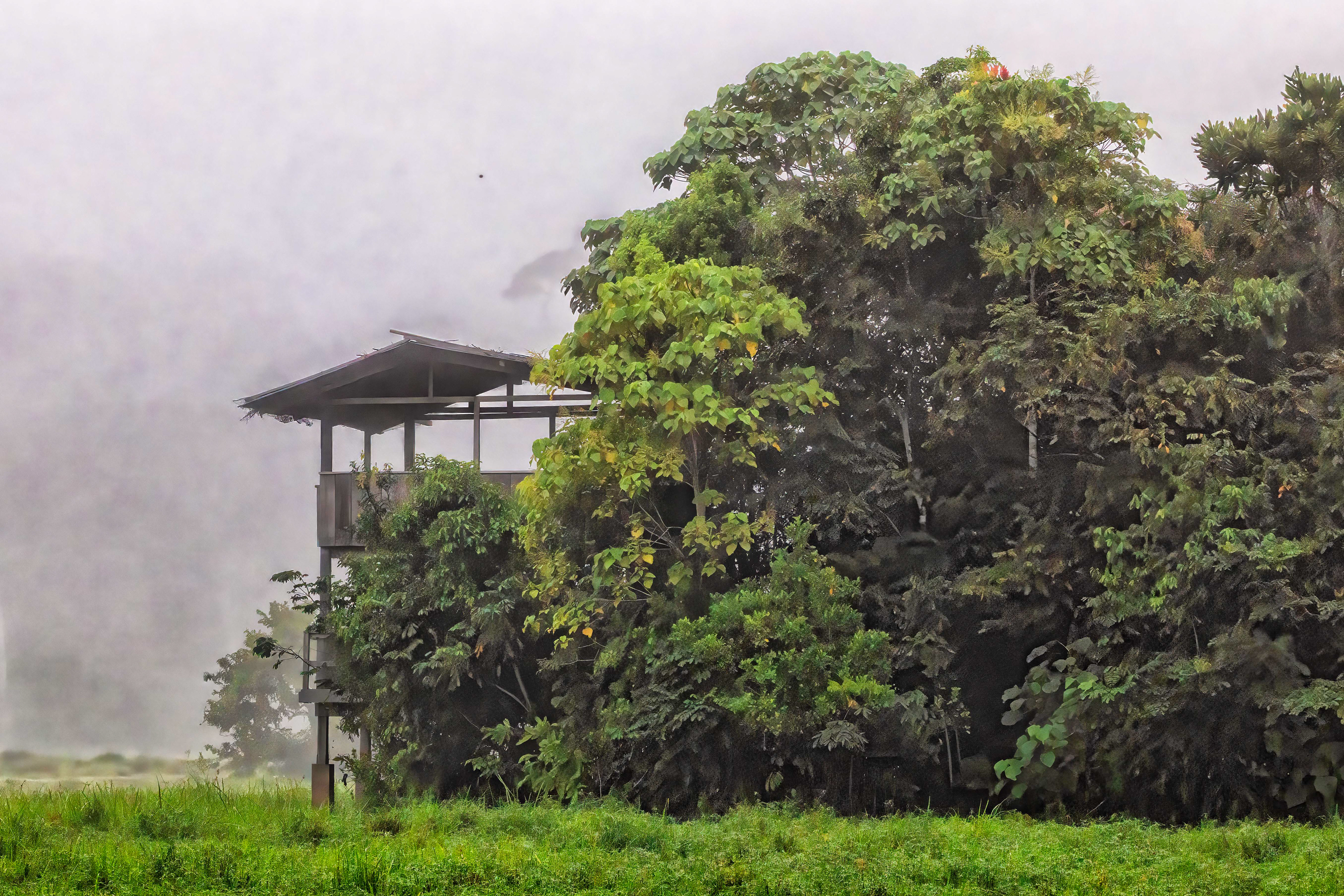 Mirador at Capitale Bai - Odzala, Republic of Congo