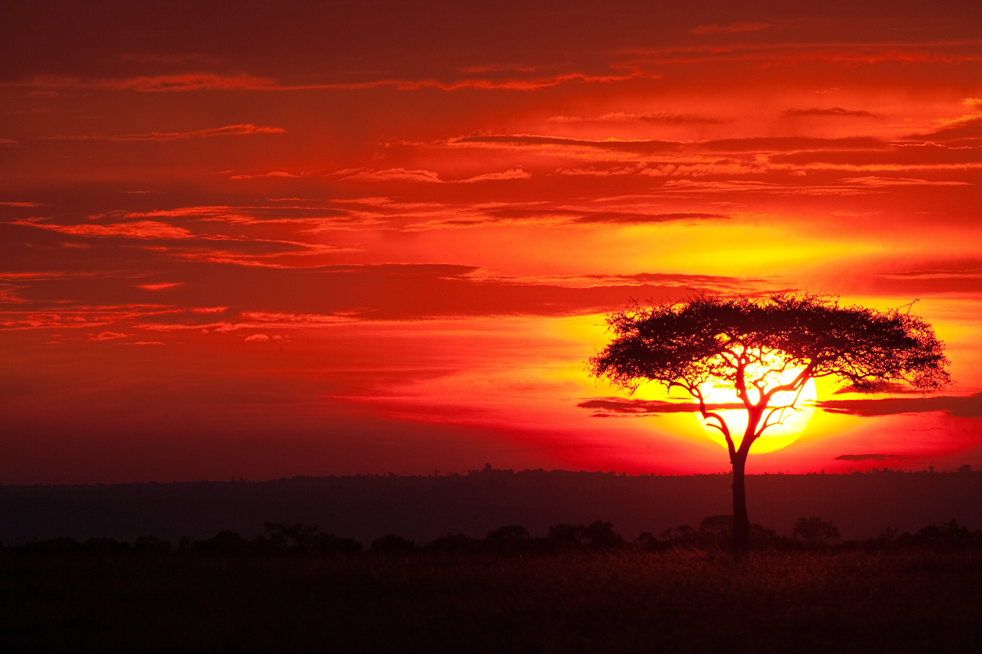 Iconic African sunset - Masai Mara