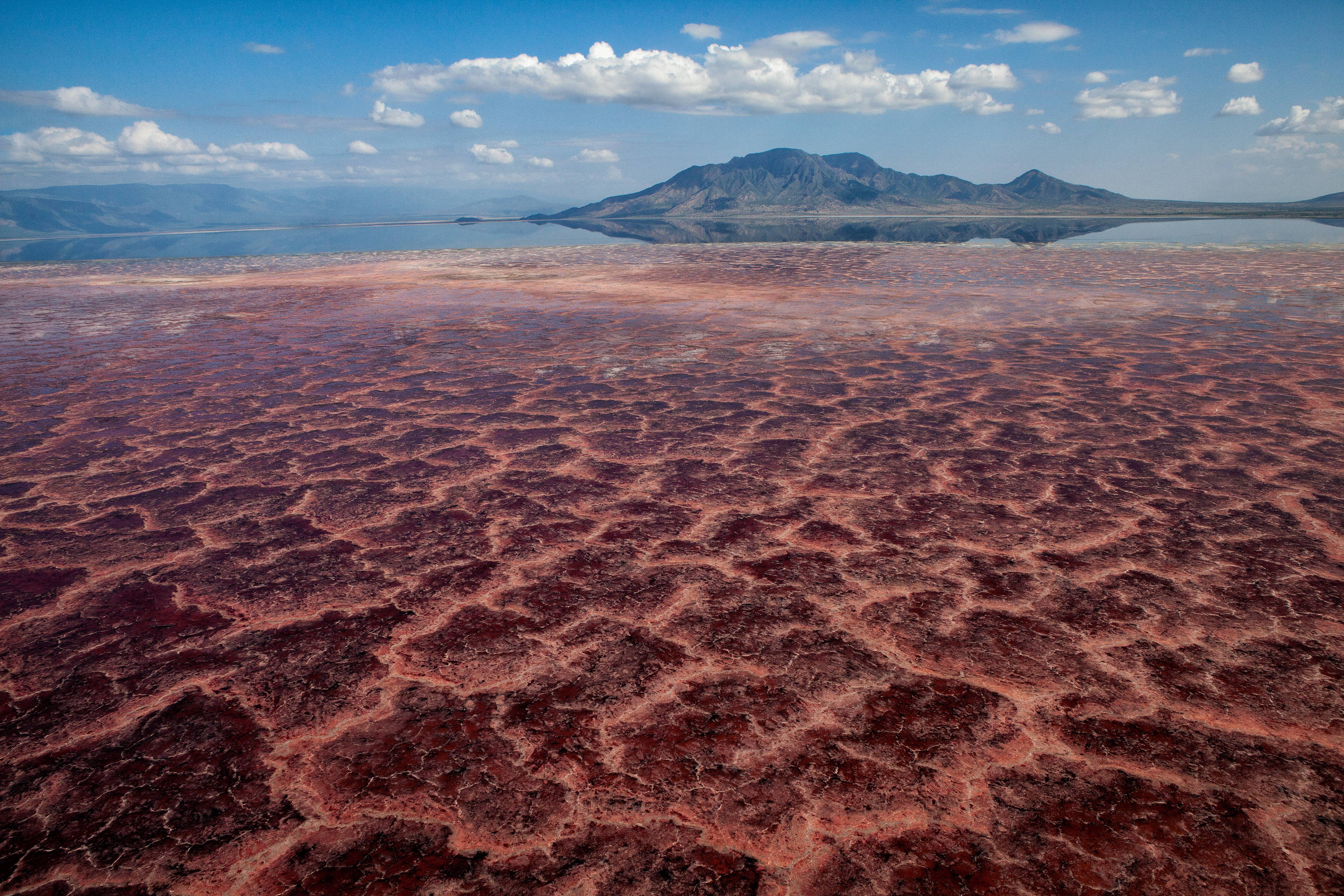The stunning red algae of Lake Natron - Kenya