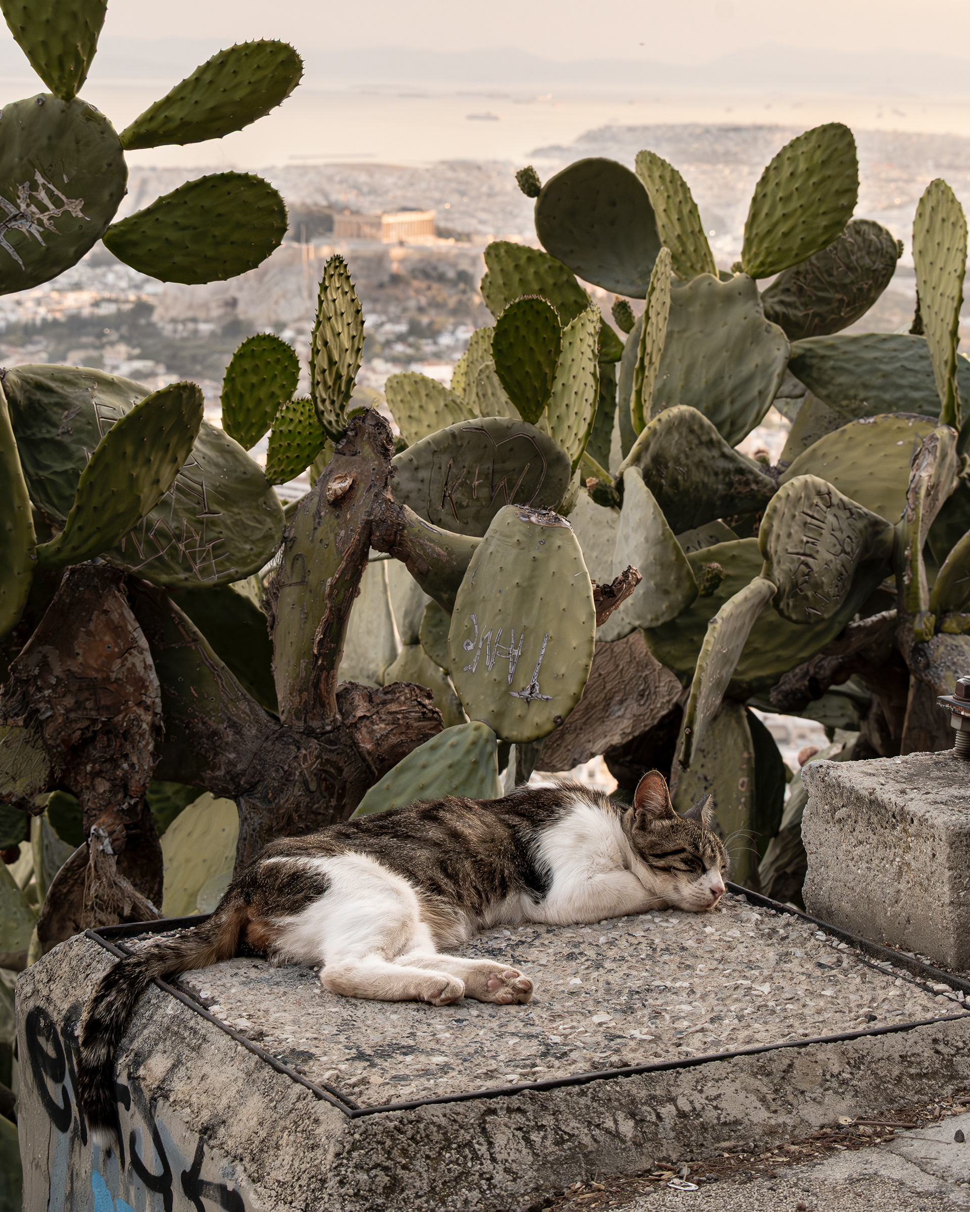 Mount Lycabettus - Athens, Greece