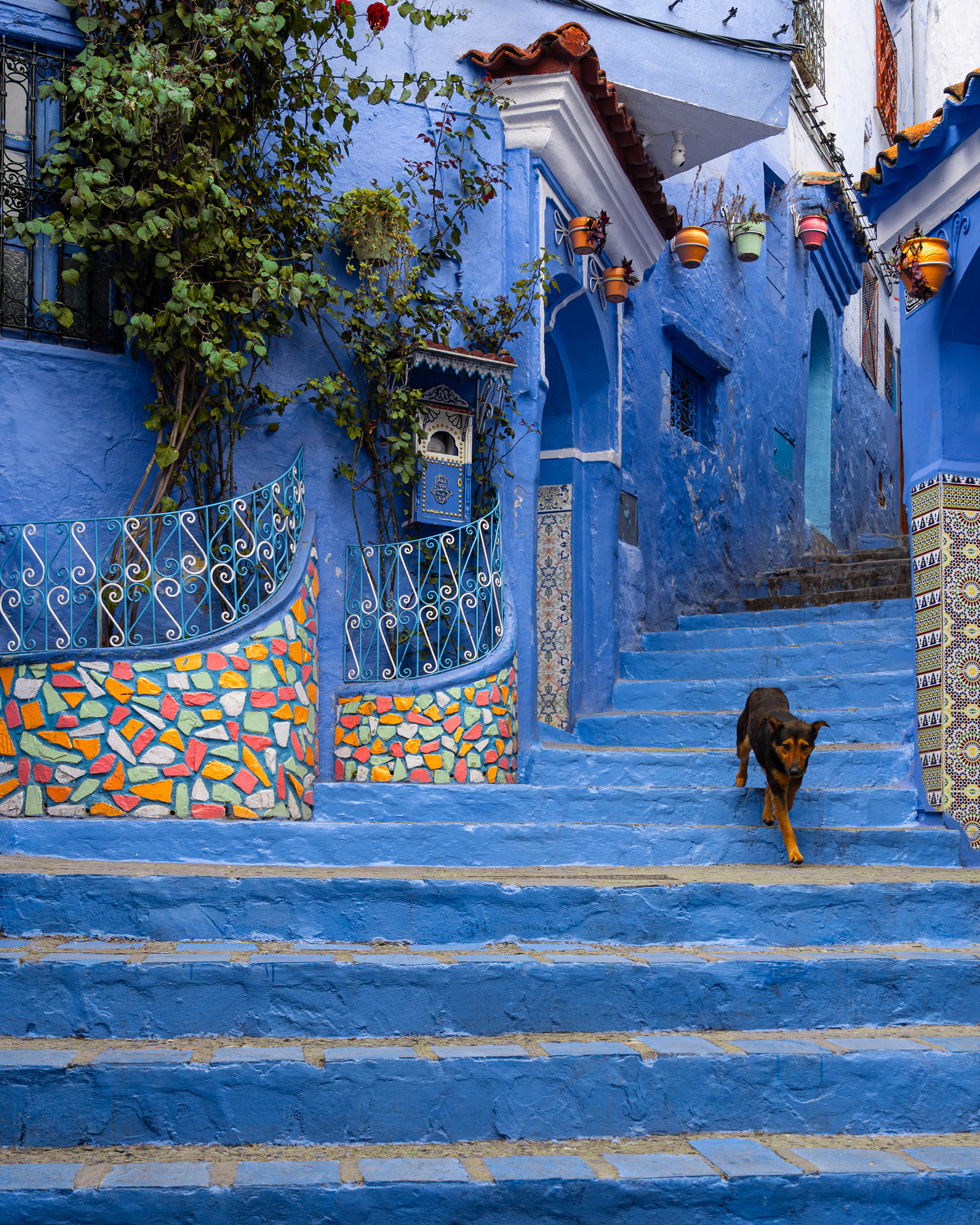 Chefchaouen, Morocco - The Blue Pearl