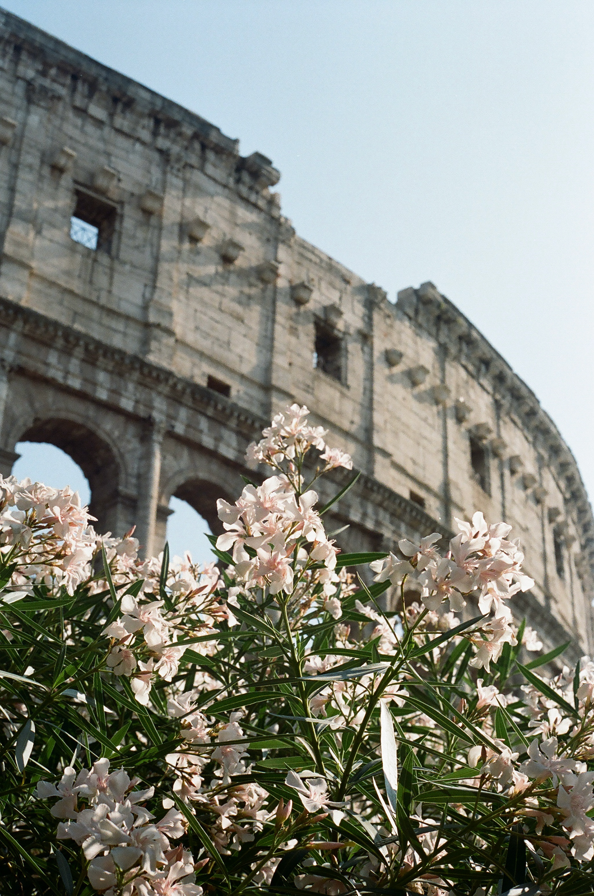 Colosseum - Rome, Italy - Film