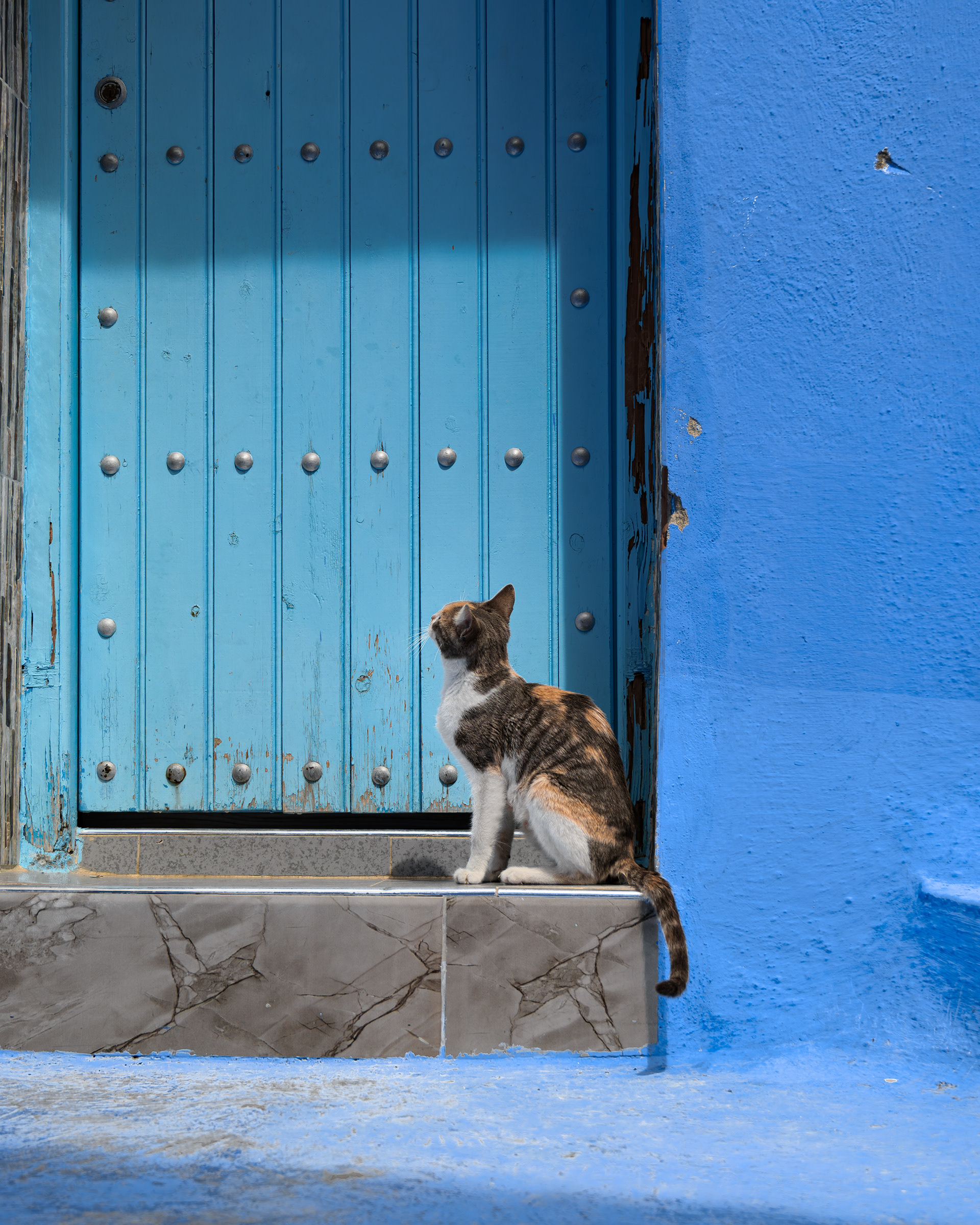 Chefchaouen, Morocco - The Blue Pearl