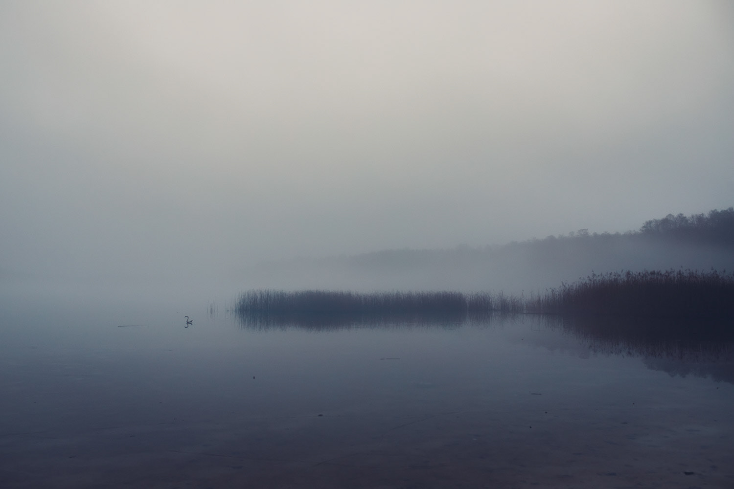 "See im Nebel"