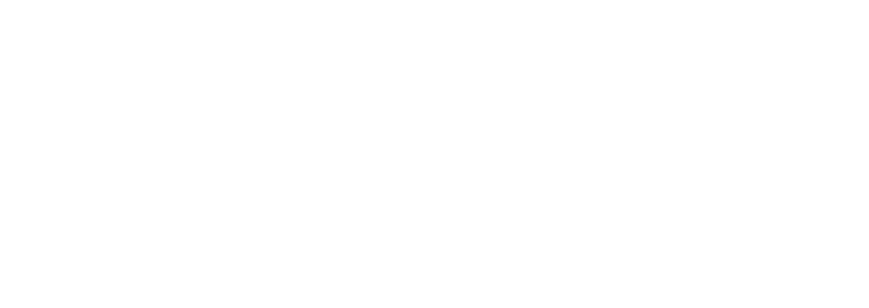 Koushik Gowda