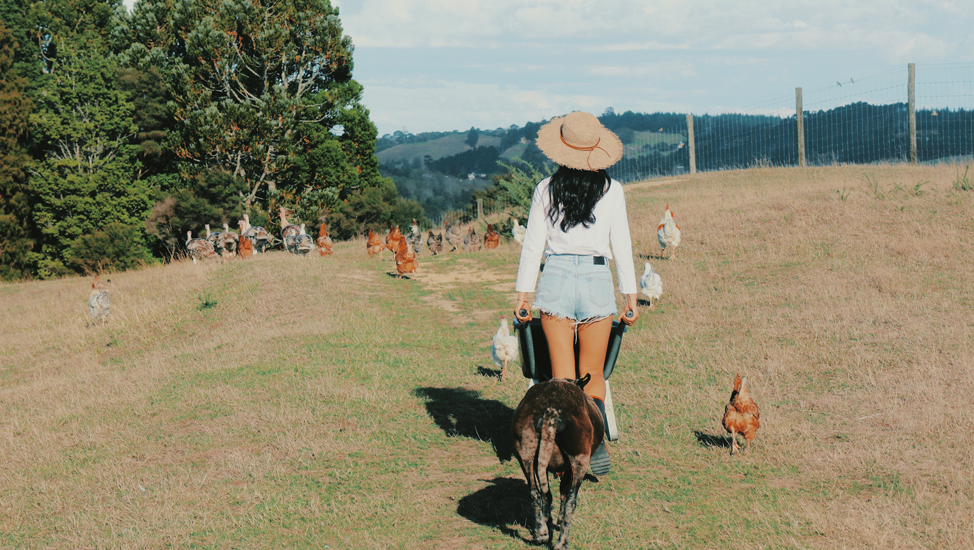Julia-Farmland Photography