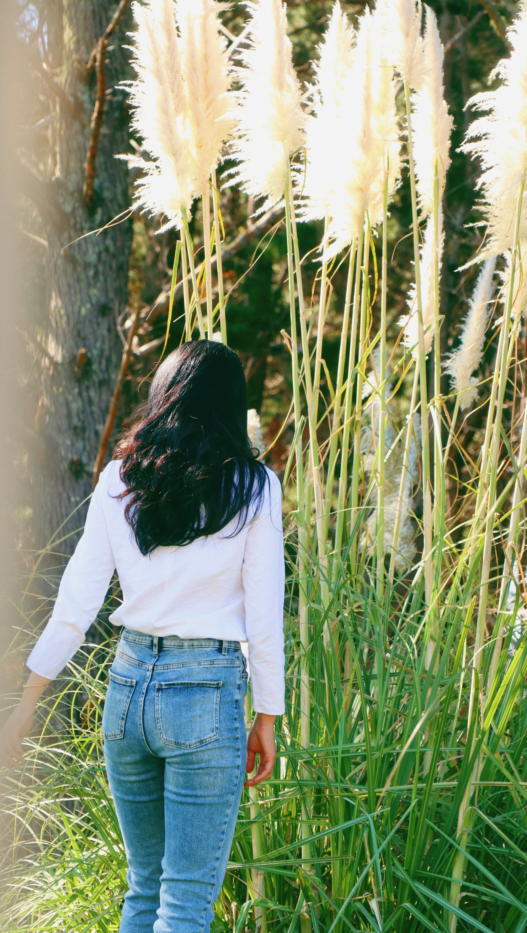 Julia-Farmland Photography