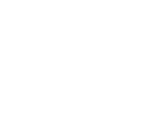 orient cinemas