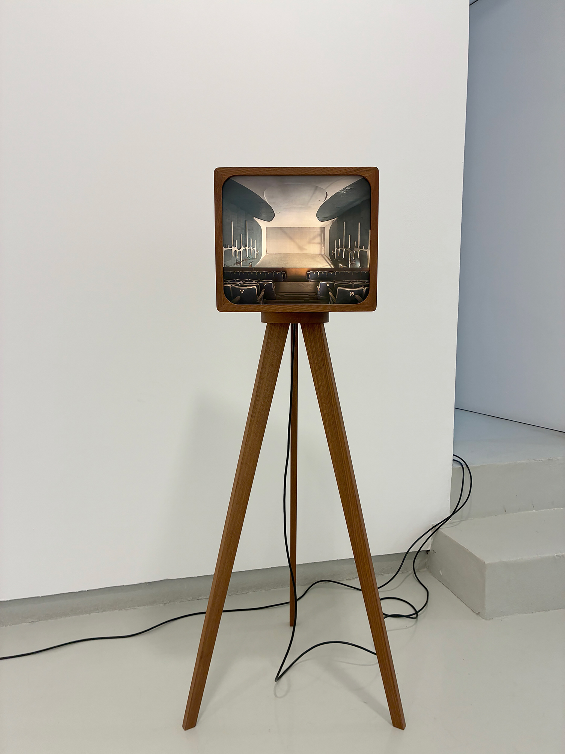 Neelam Theatre #2. Fine art photographic inkjet print in lightbox with tripod. Mahogany and museum glass. Designed by Inês d’Orey. 30 × 35 × 30 cm. Unique edition.