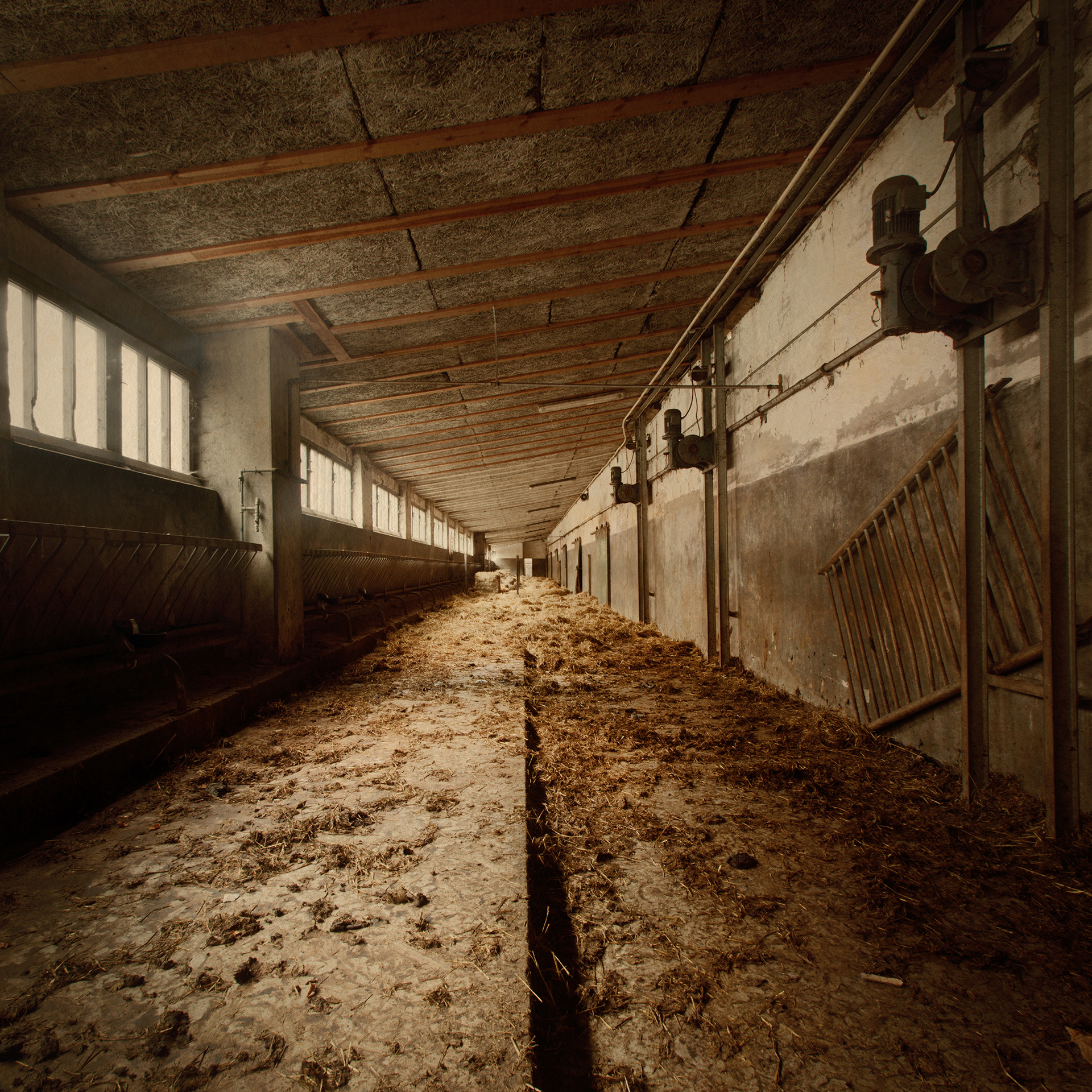Slaughterhouse. Fine Art photographic Inkject Print. 80x80cm. Beech frame with museum glass. Edition of 3. 