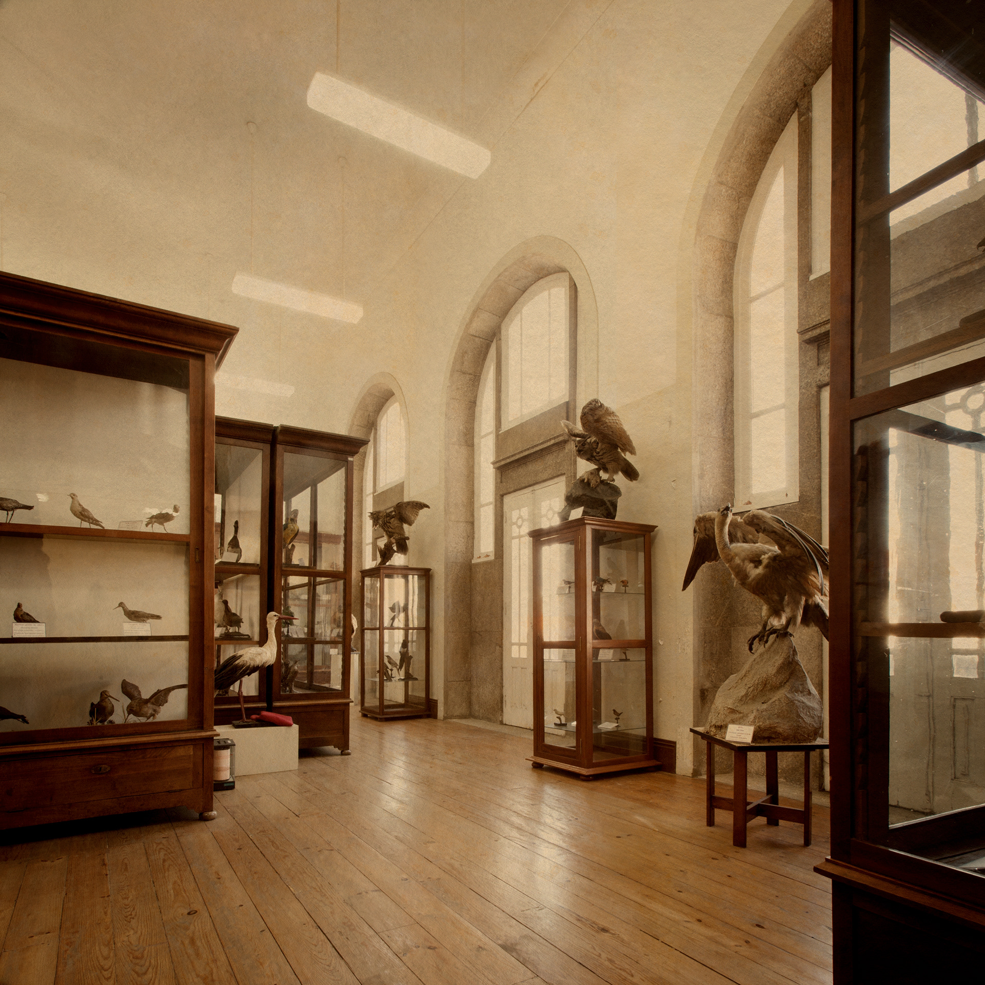 alexandre herculano #2. 2011. Fine Art Photograohic Inject Print. 80x80cm. Wooden frame with museum glass. Edition of 3.