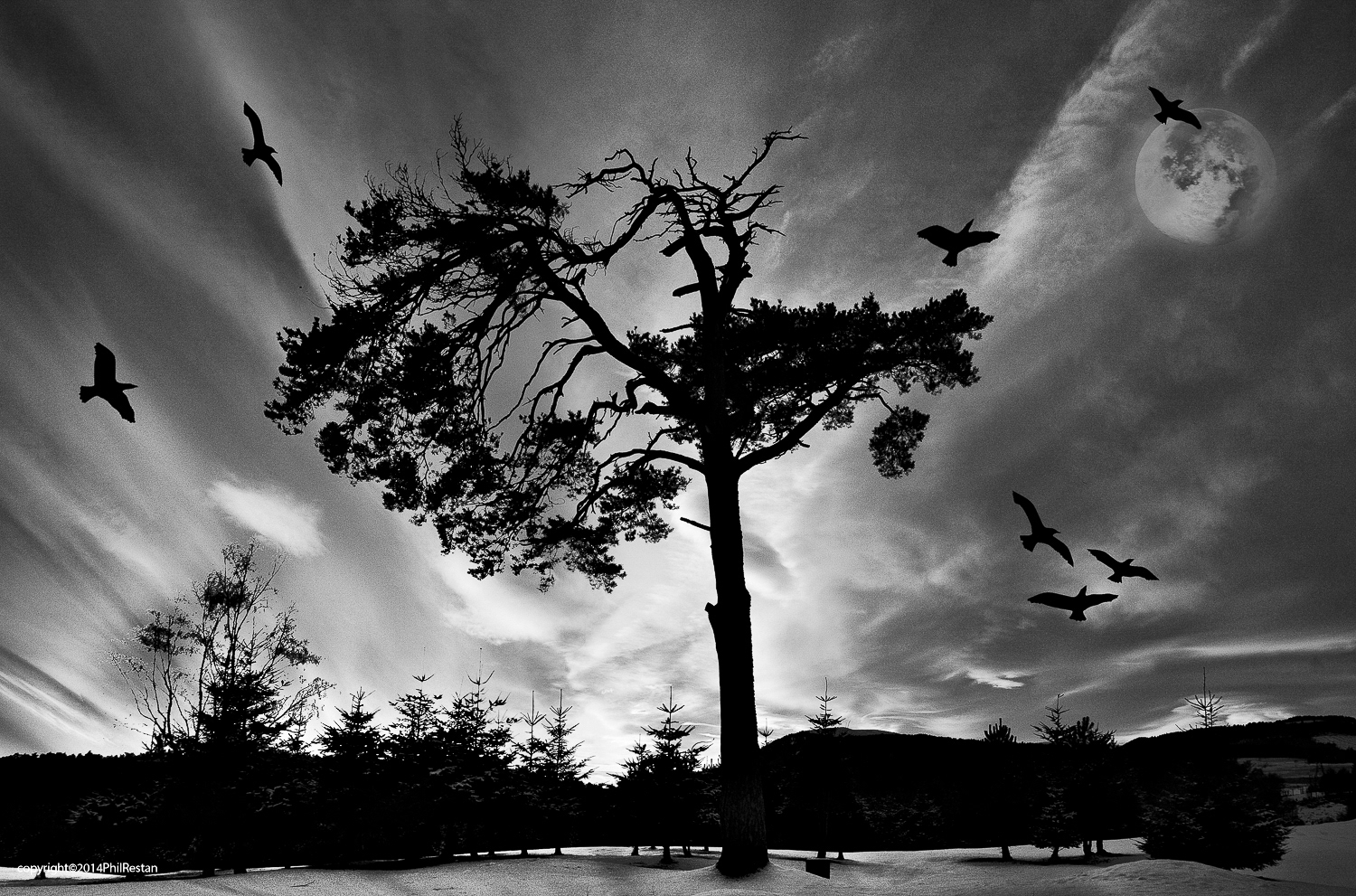 Photo Digitally manipulated -Birds added to a golf course image