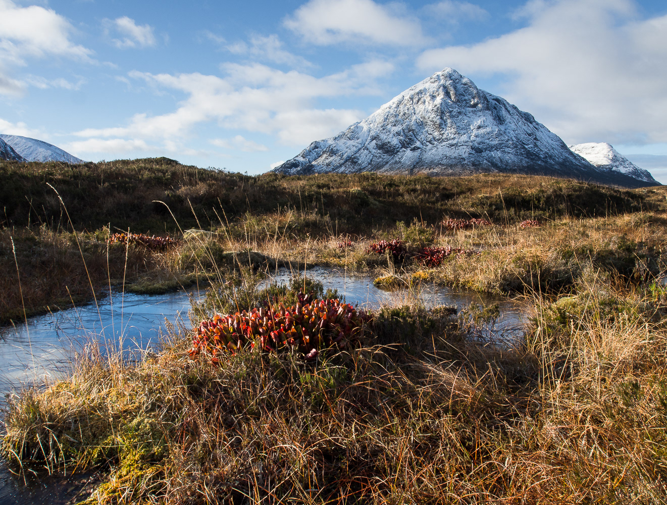 Photo:Looking over a group of insect eating plants on Rannoch Moor, Scottish Highlands towards Buachaille Etive Mo