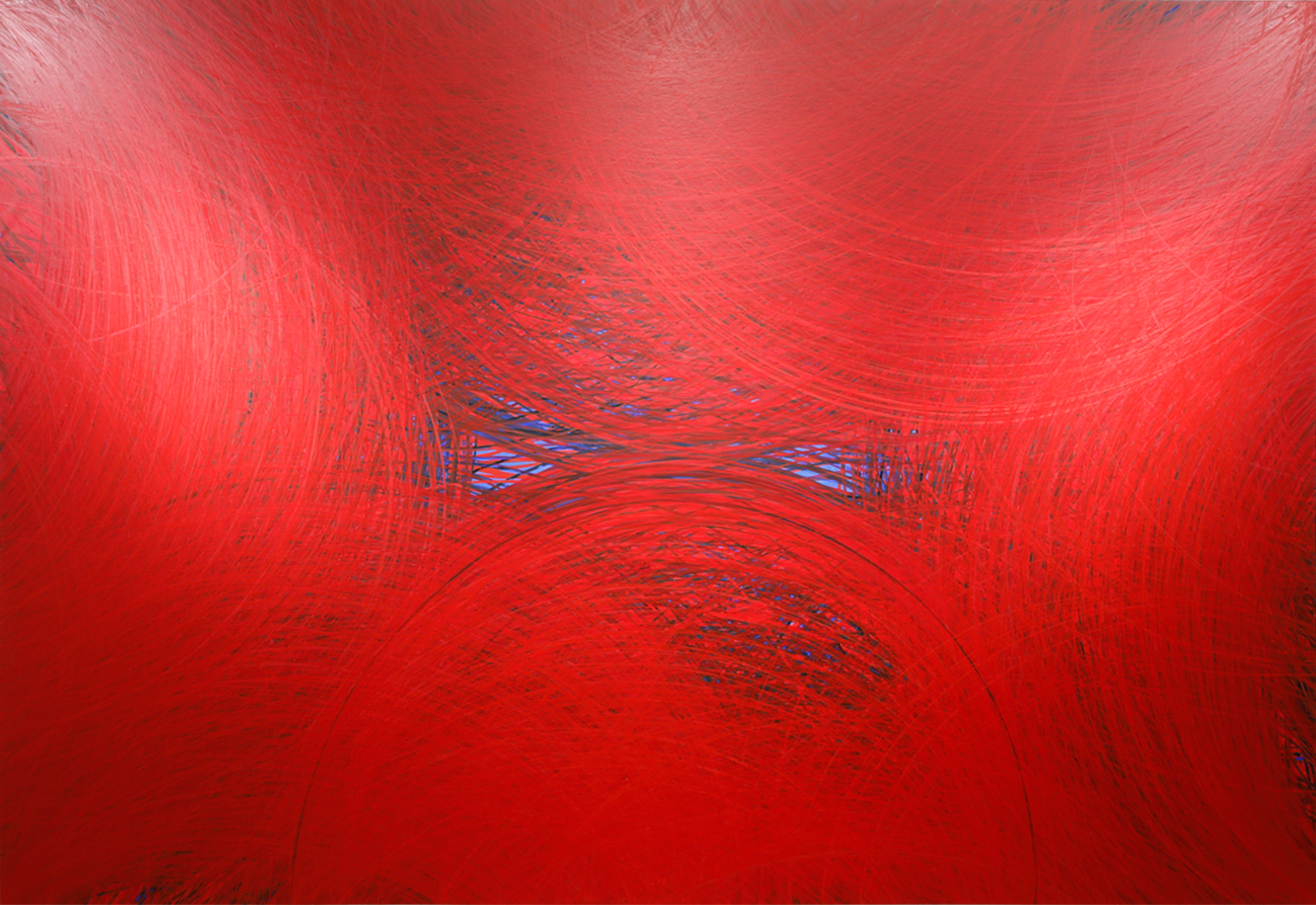 WIT-WIT RED