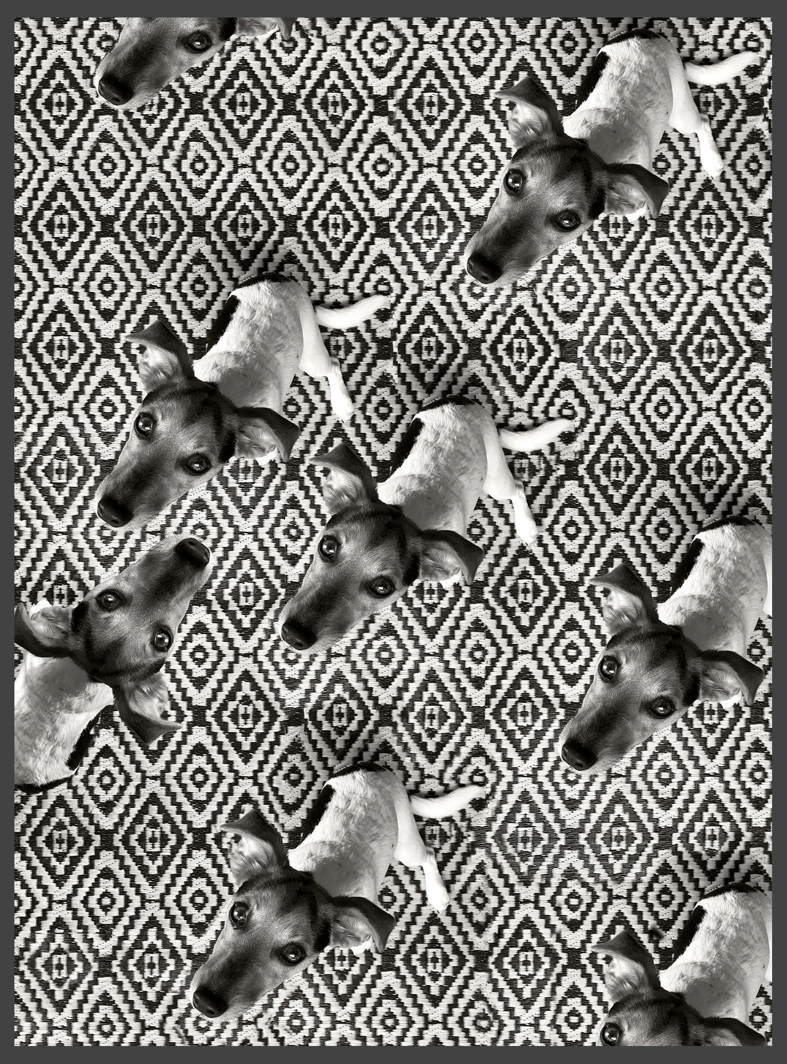 Dog puzzle