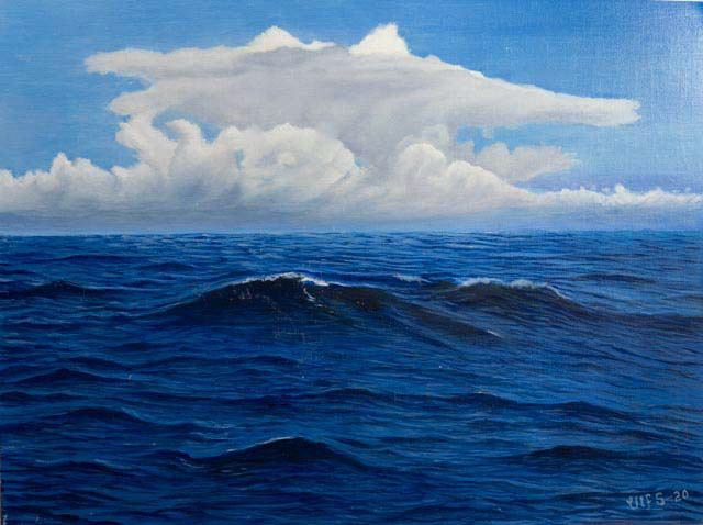 Väderomslag  51x39 cm olja