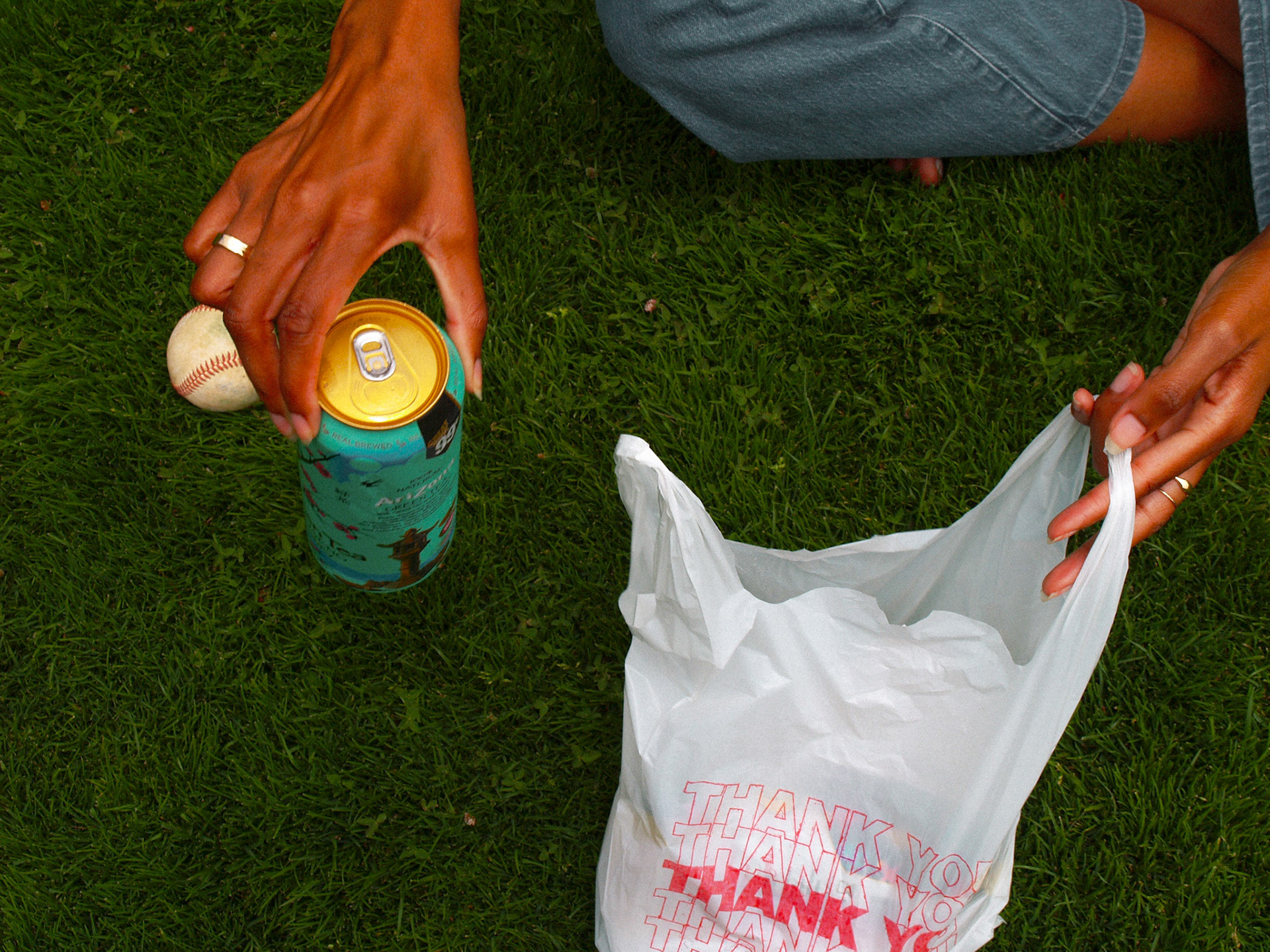 picnic