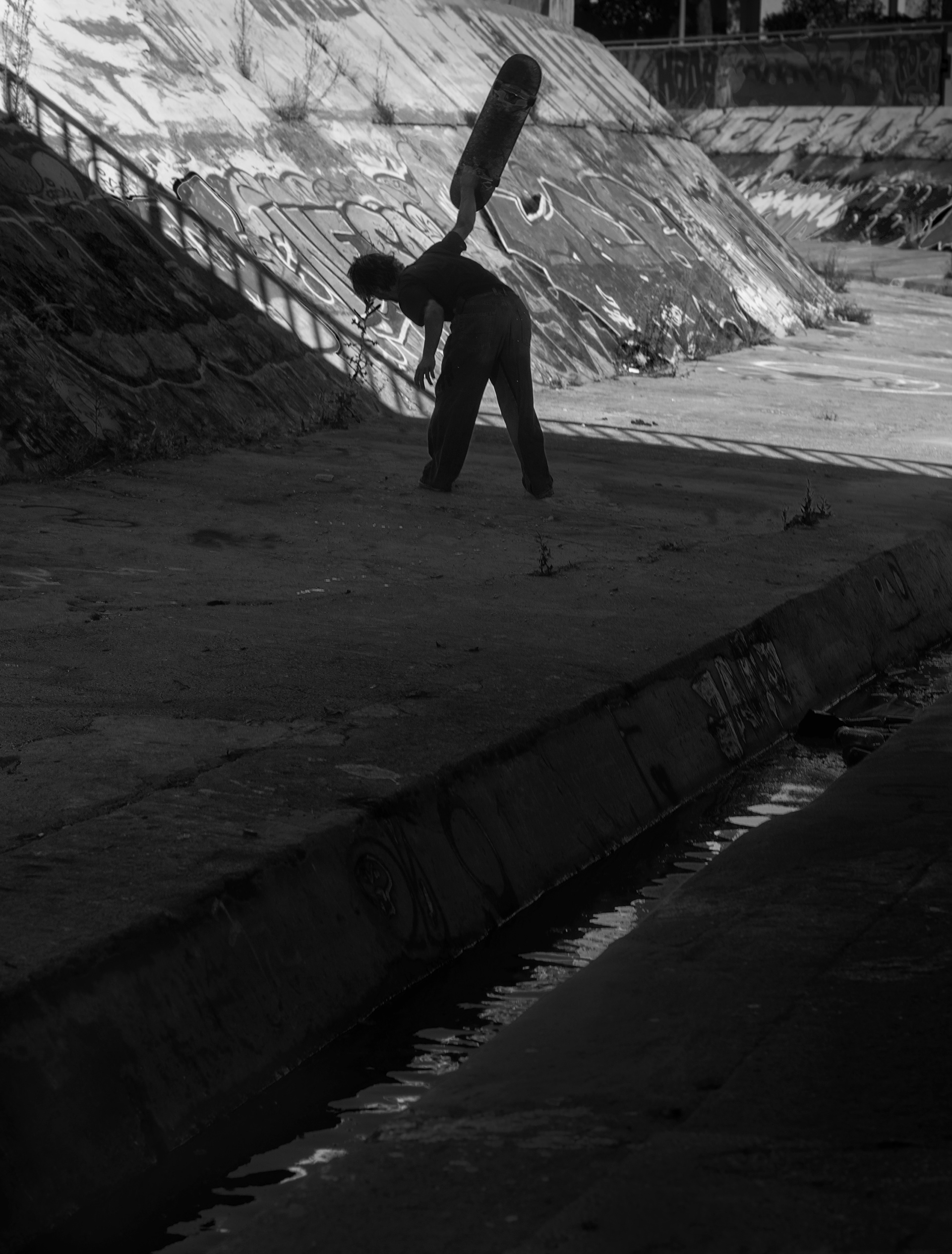 Swan. Planche mouillée. D 800.