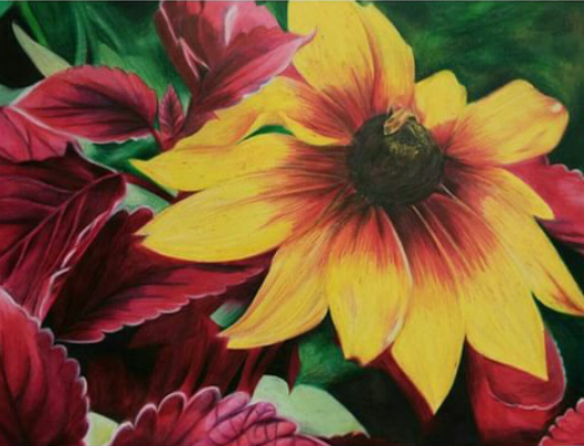 Color Pencil