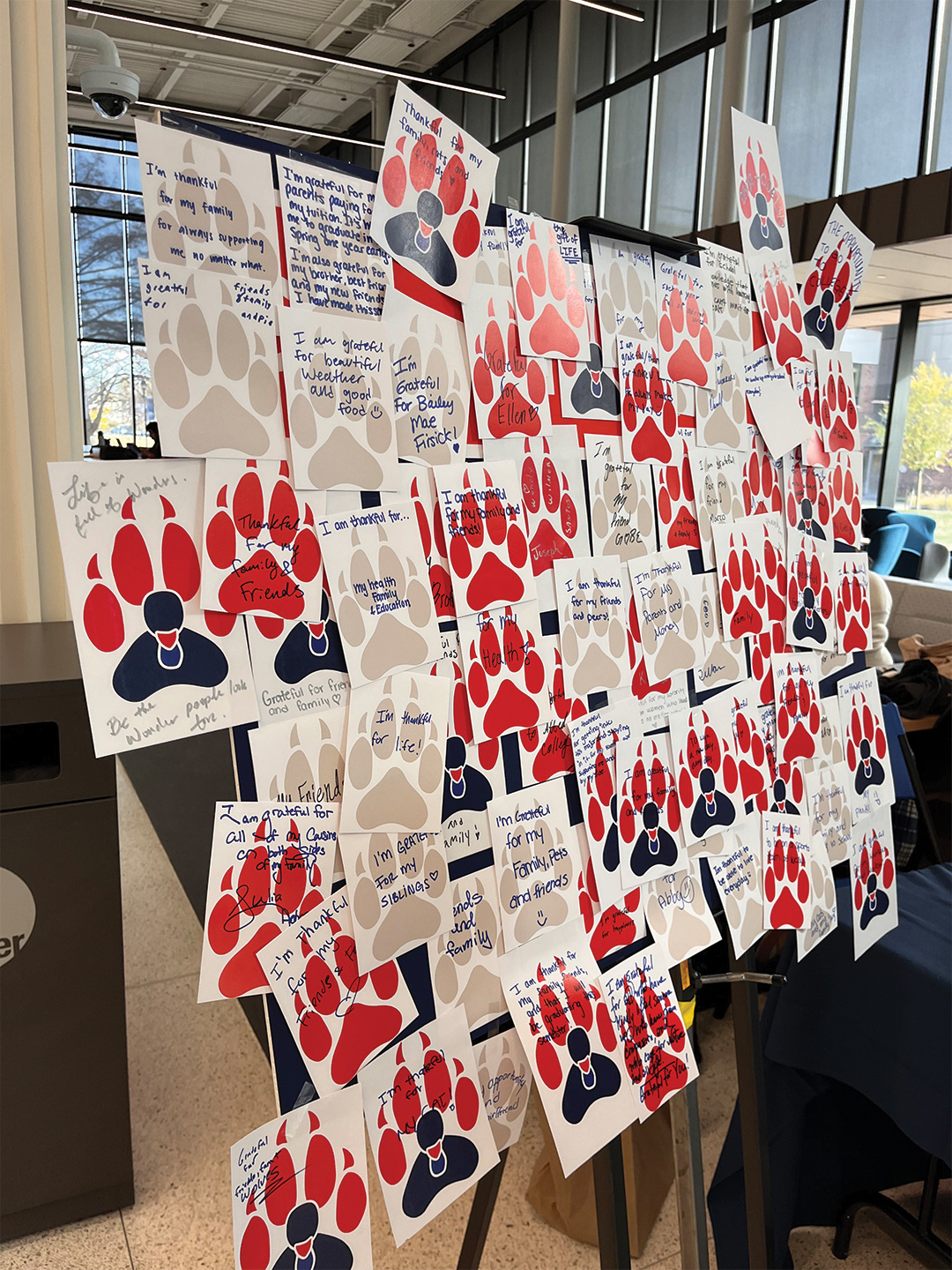 Board of Turkey Paw-Print Logo