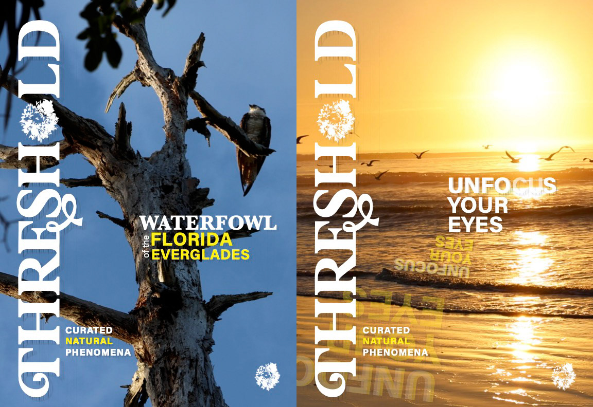 THRESHOLD Magazine Sample Spread (2025)