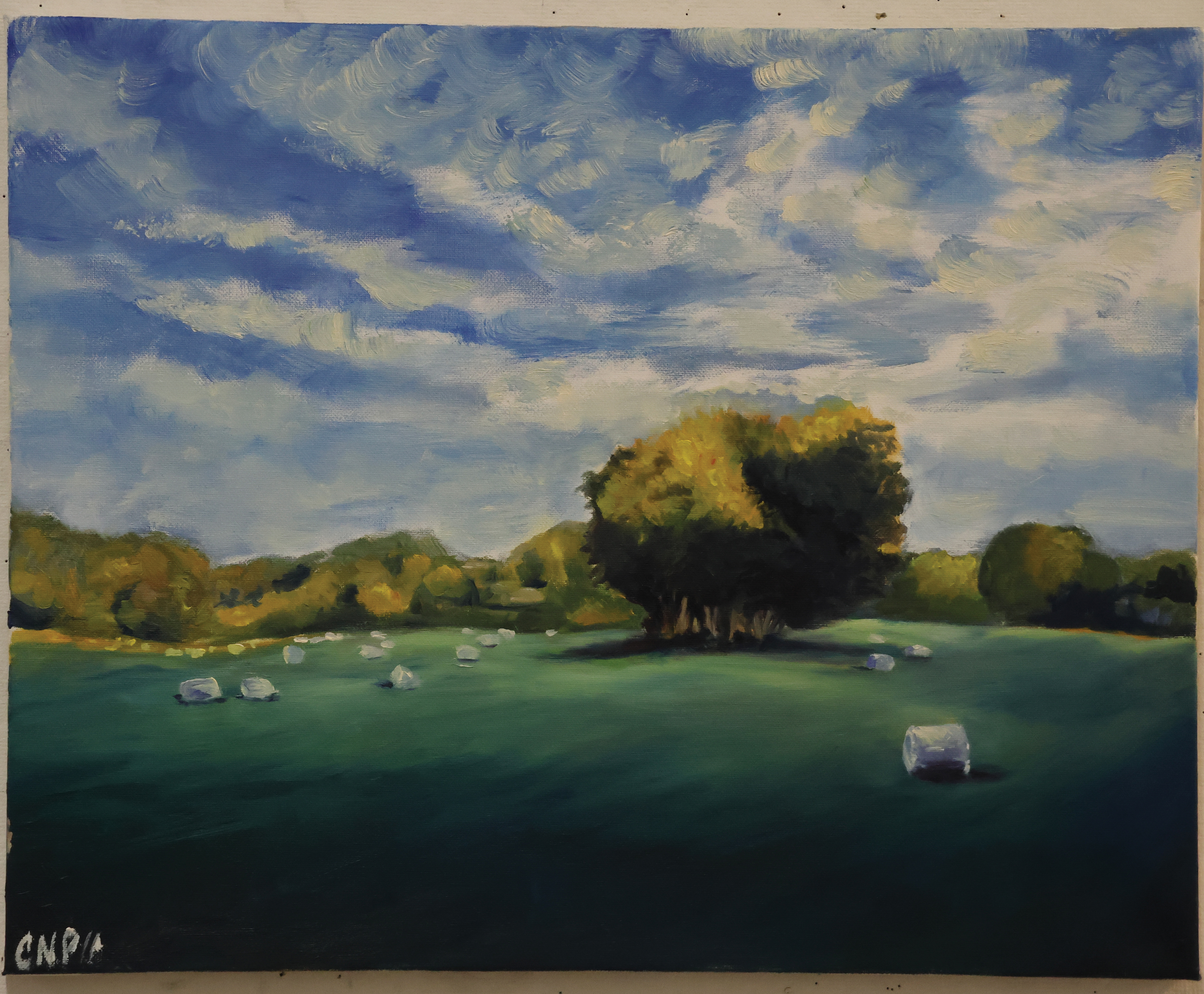 Hay Bales in Old Saybrook in 2025 - Oil (2025)