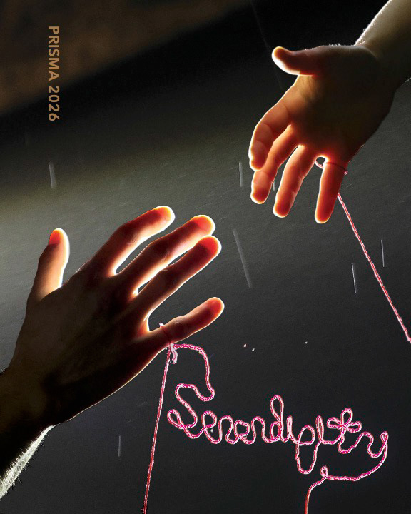 Serendipity Book Cover - 2026 (Cayden Nadolny-Pallatto + Tessa Hilford)