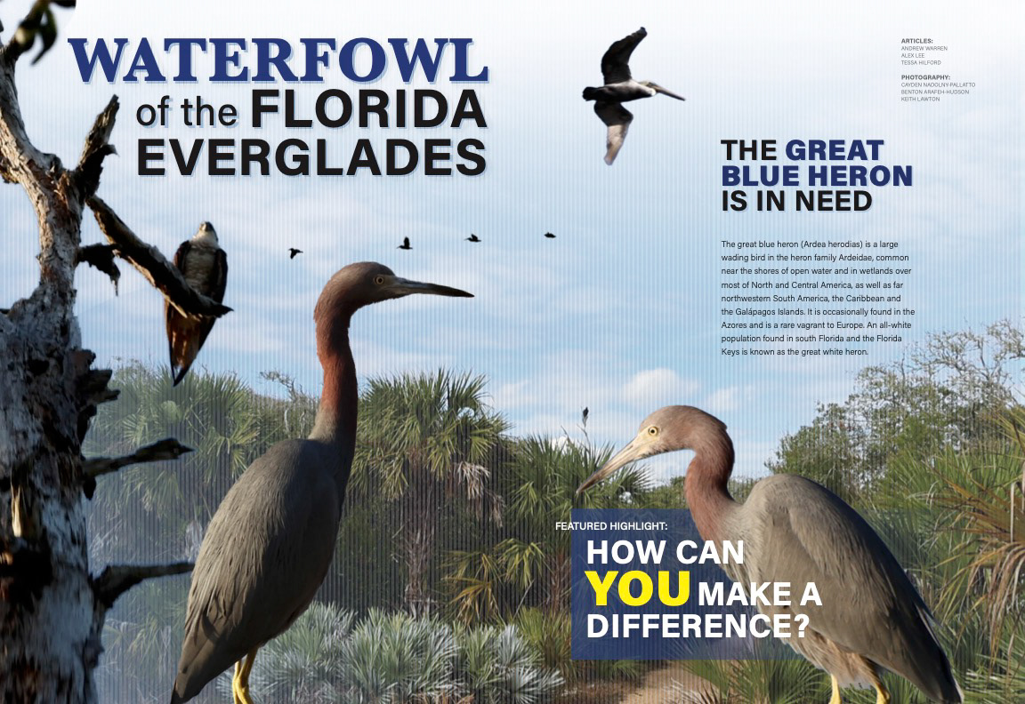 THRESHOLD Magazine Sample Spread 2 (2025)