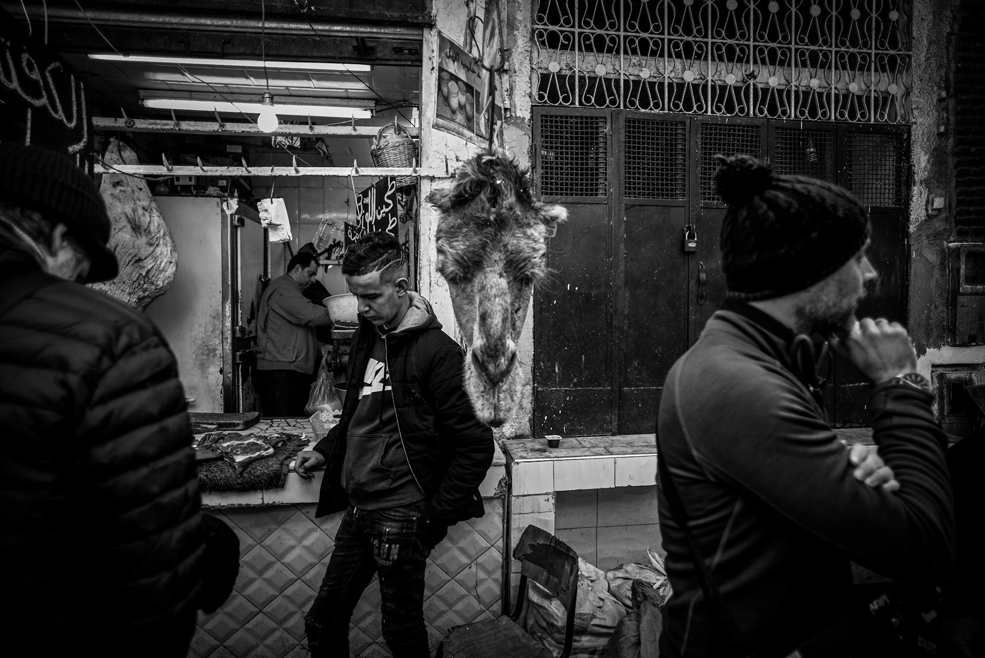 Camel Head