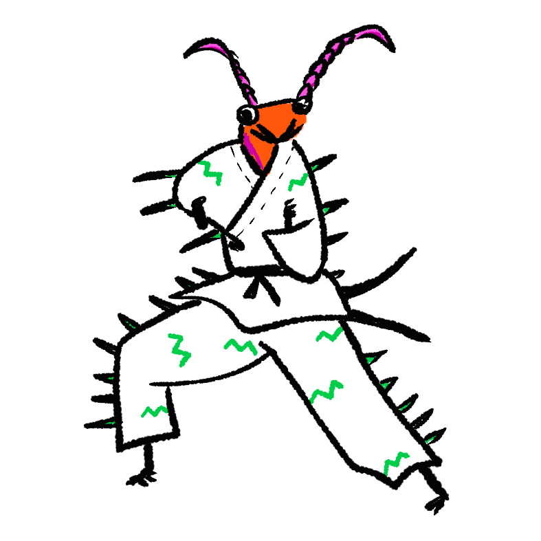 空手家百足/The Centipede Karate Master