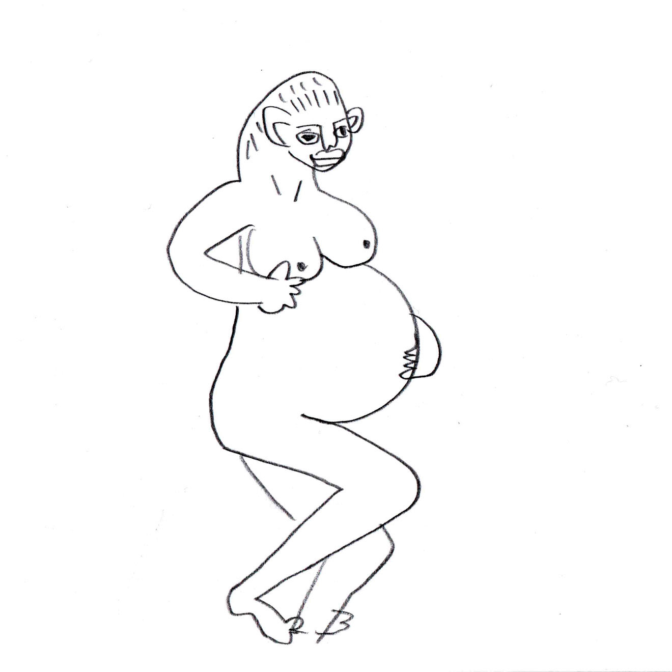猿のお母さん/The Monkey Mom