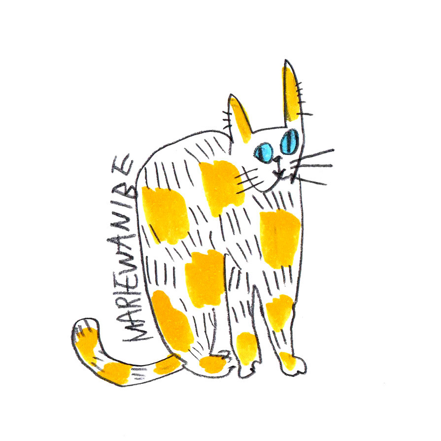 猫いるといいな/GATO