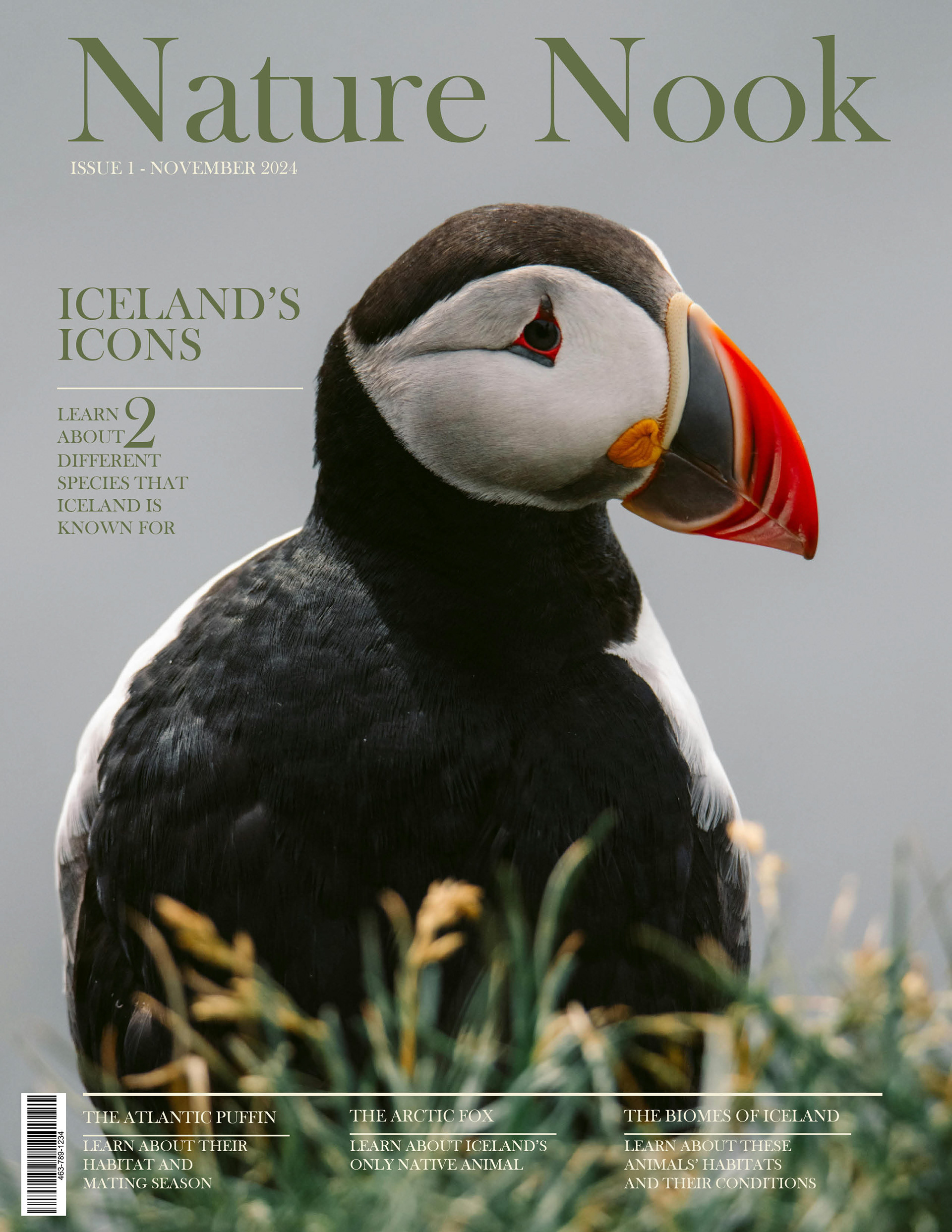 Magazine Cover