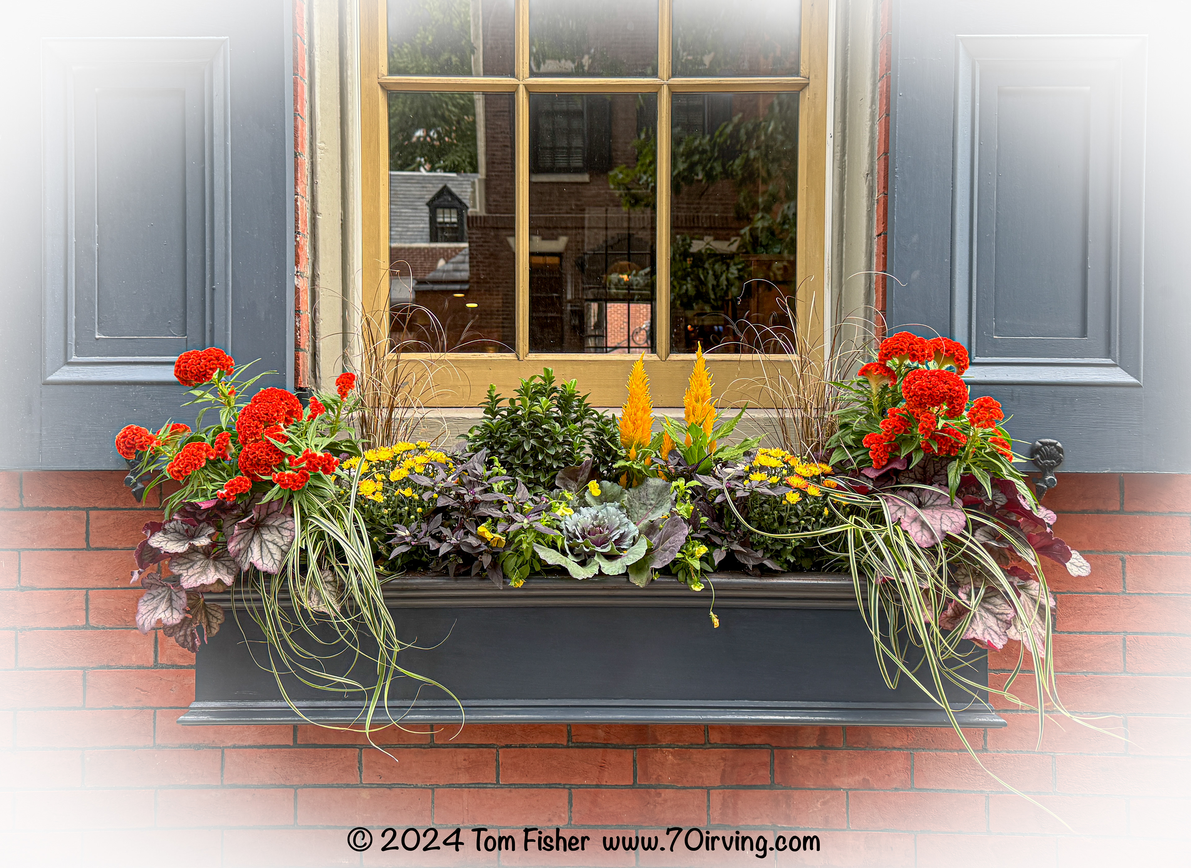 Philadelphia Window Flower Box