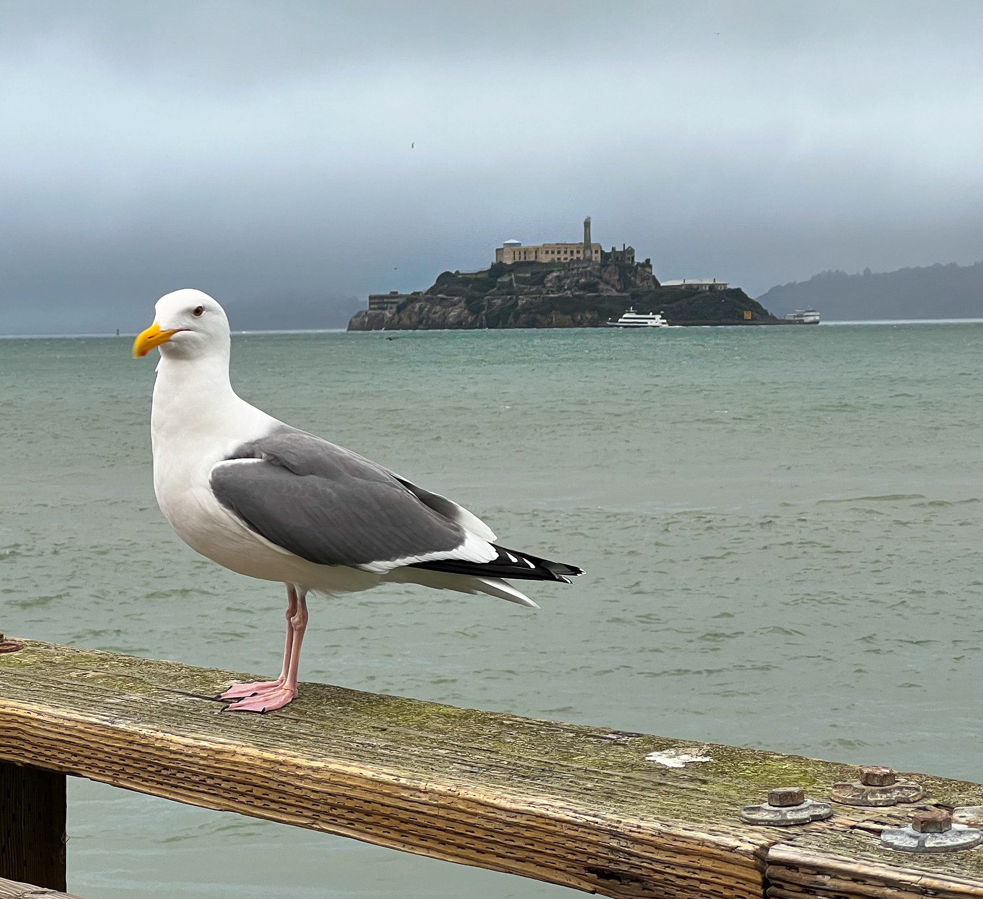 Alcatraz in San Francisco Bay, CA