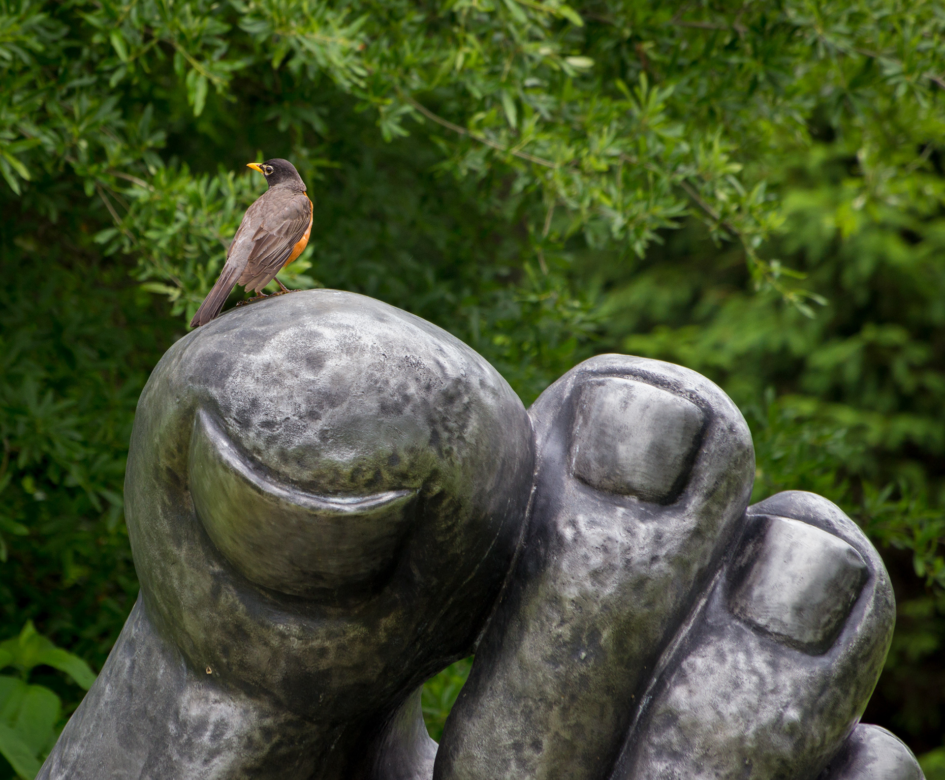 Grounds for Sculpture in Hamilton, NJ
