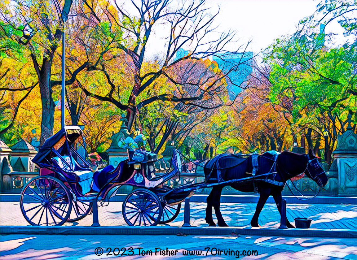 Hansom Cab in Central Park NYC