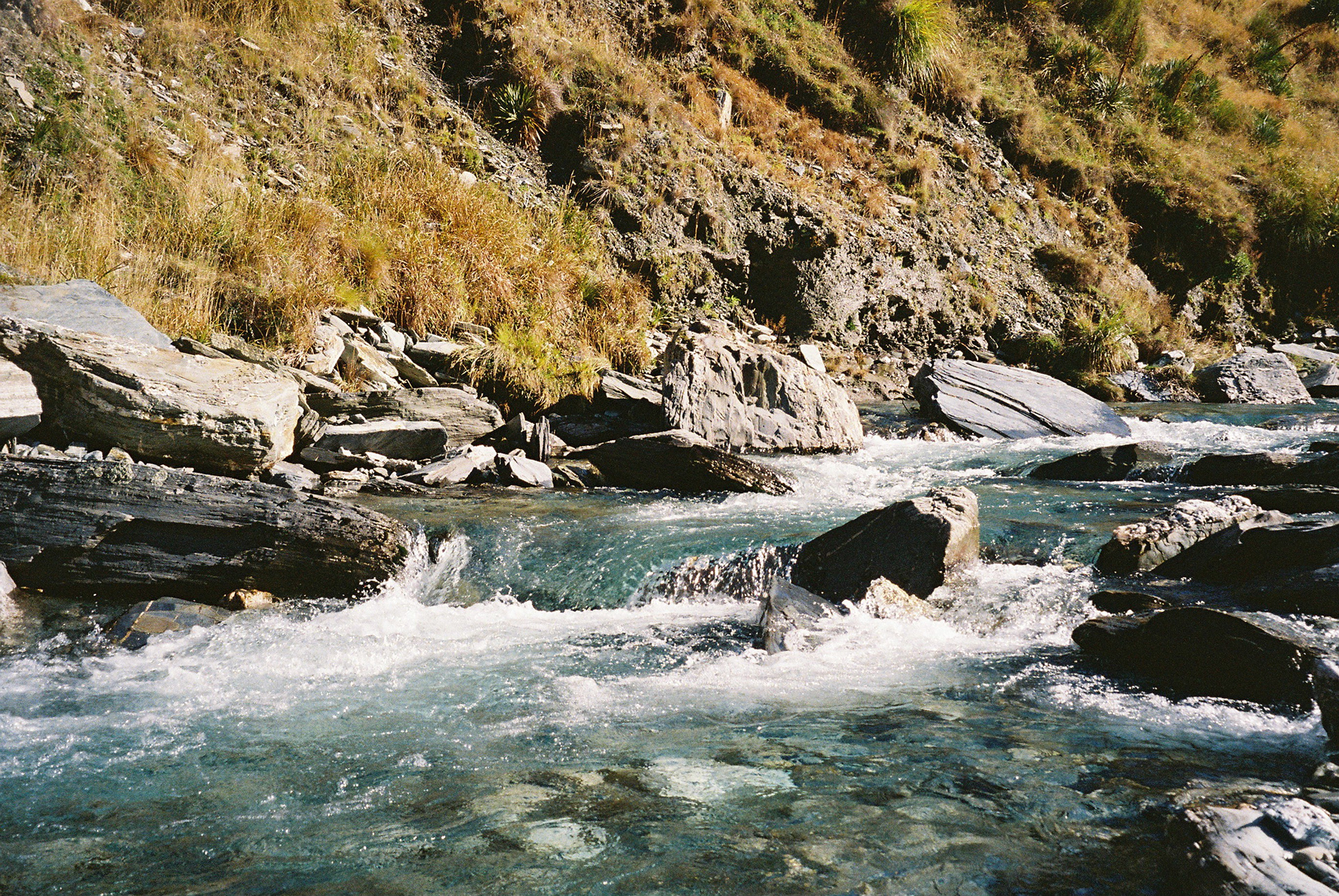 Earnslaw Burn Track, Glenorchy