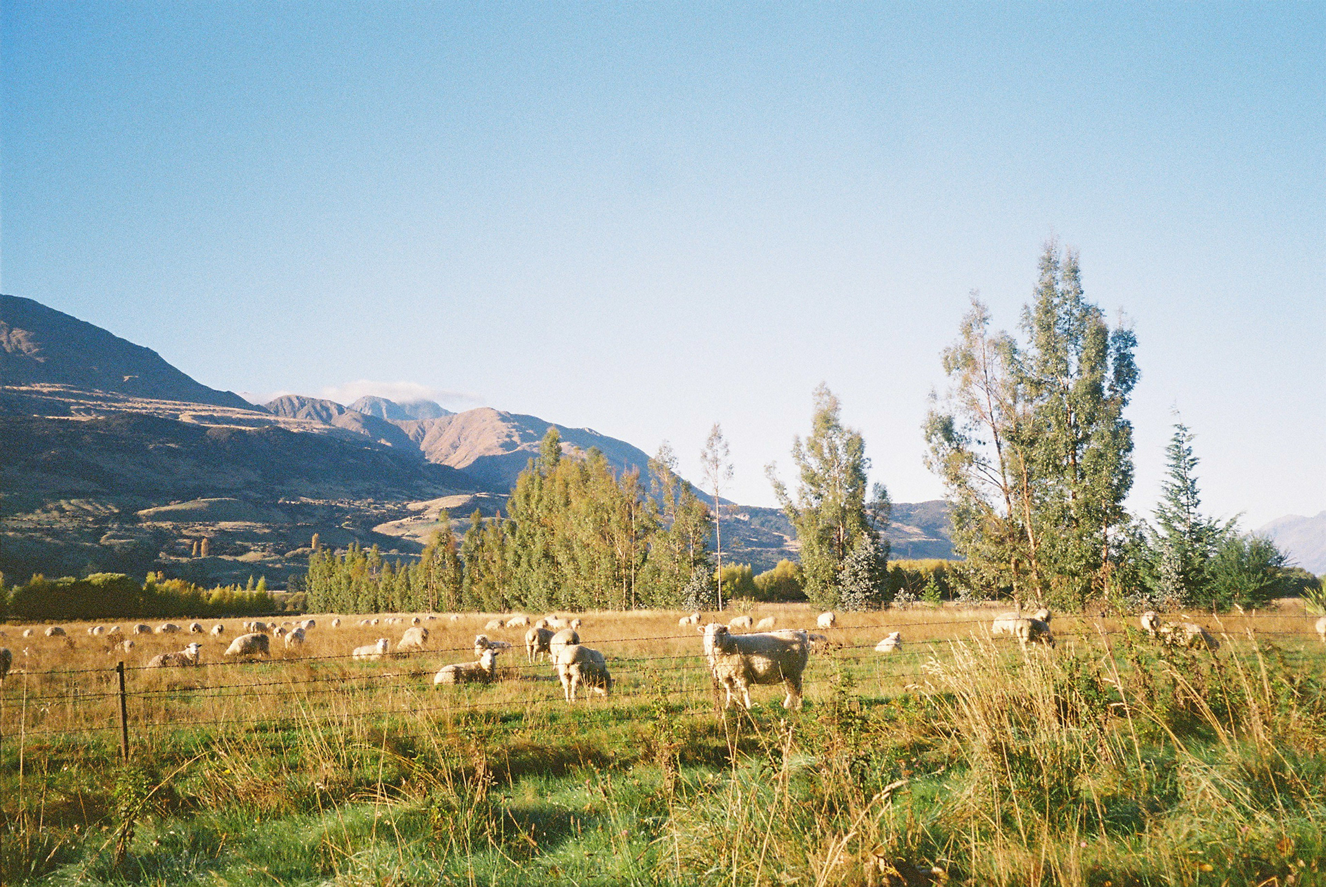 The drive to the Earnslaw Burn Trail Head