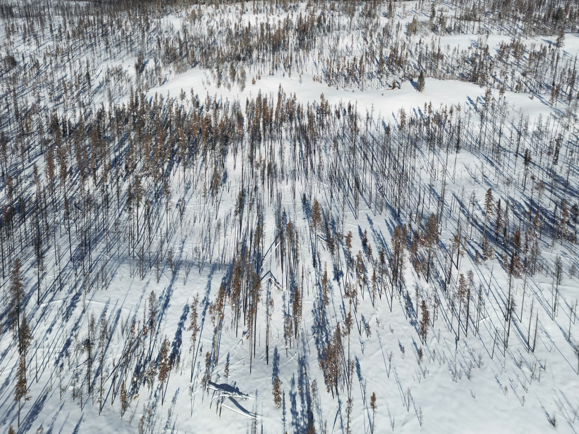 default