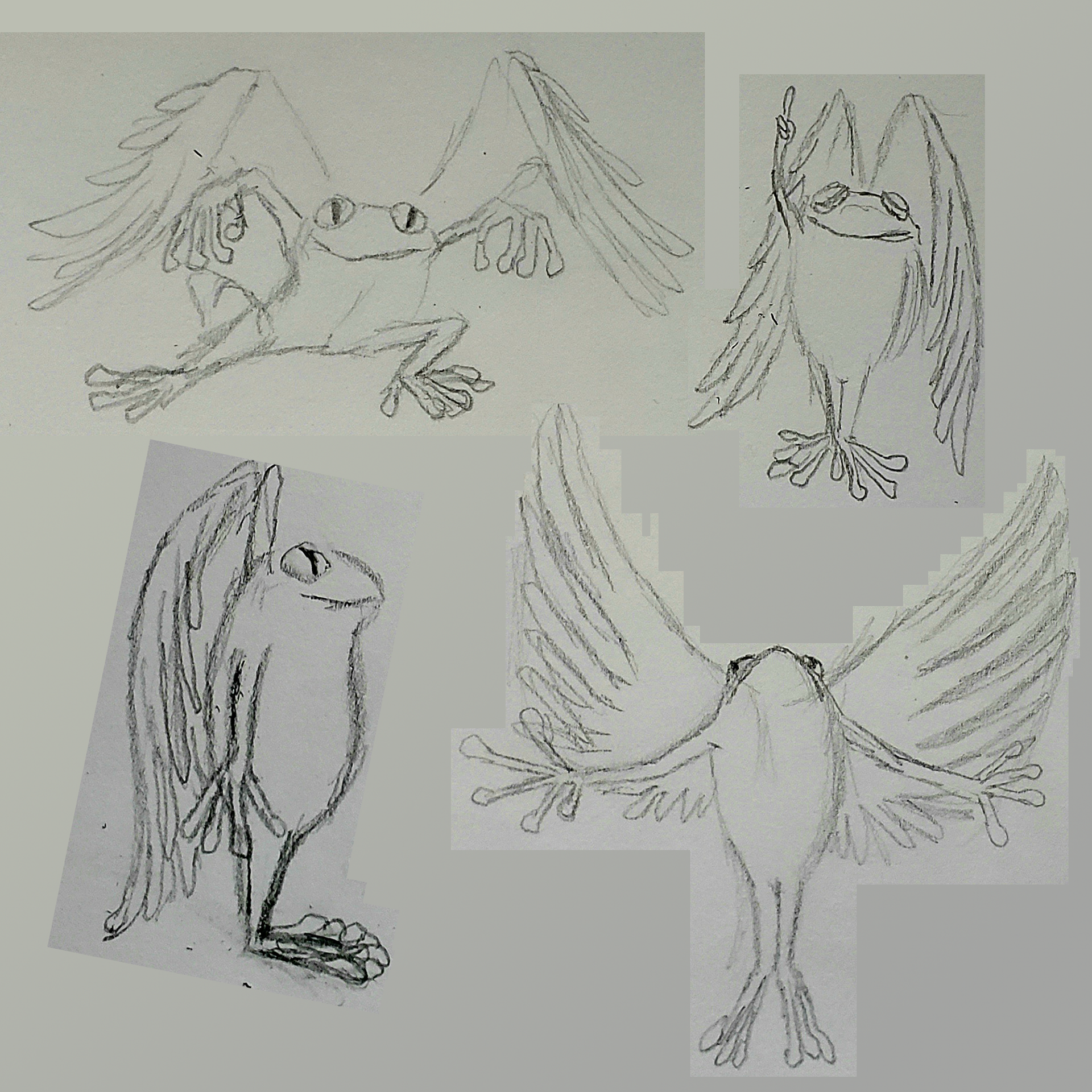 Archangel Frog Sketches