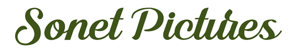 Sonet Film logo