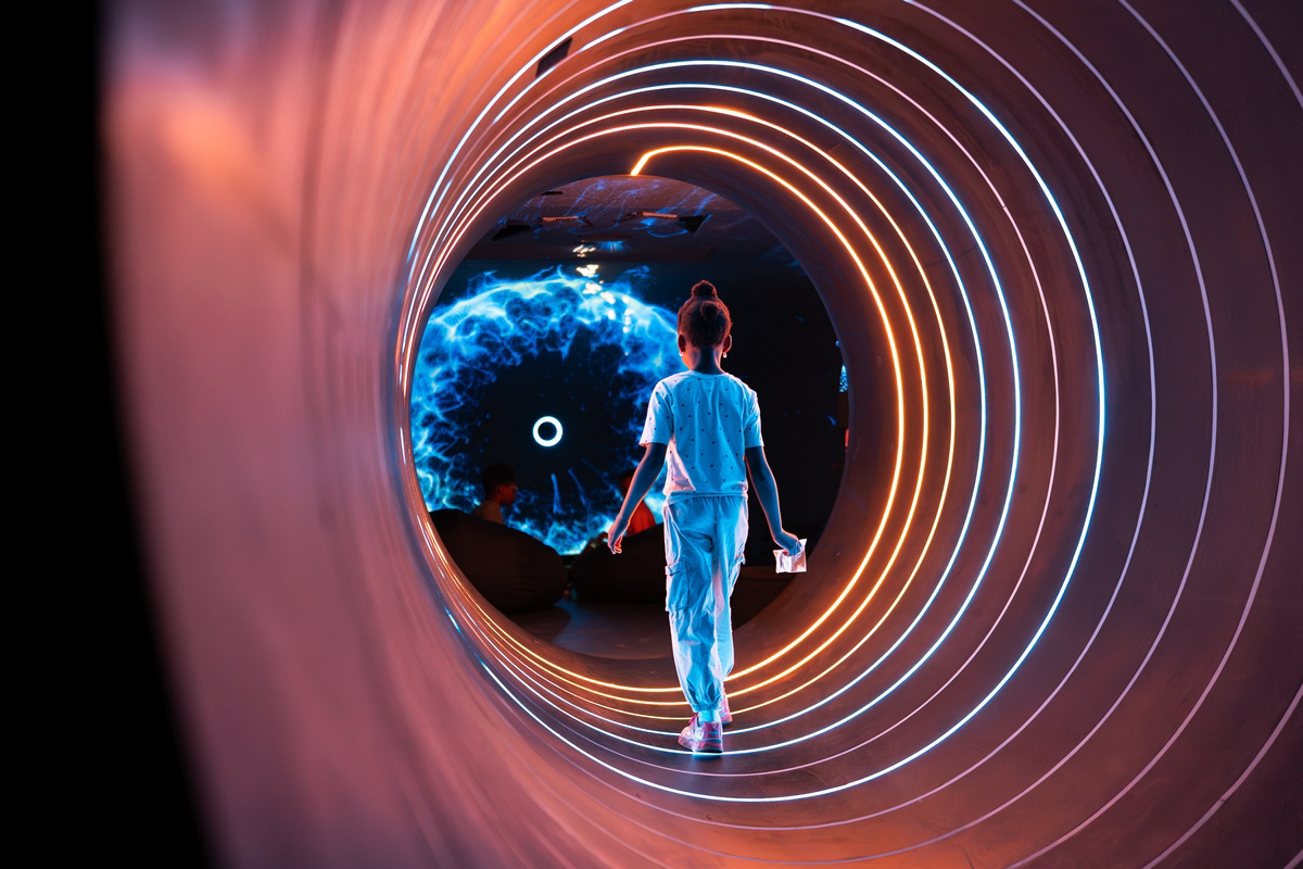 Black Hole Experience: CNE