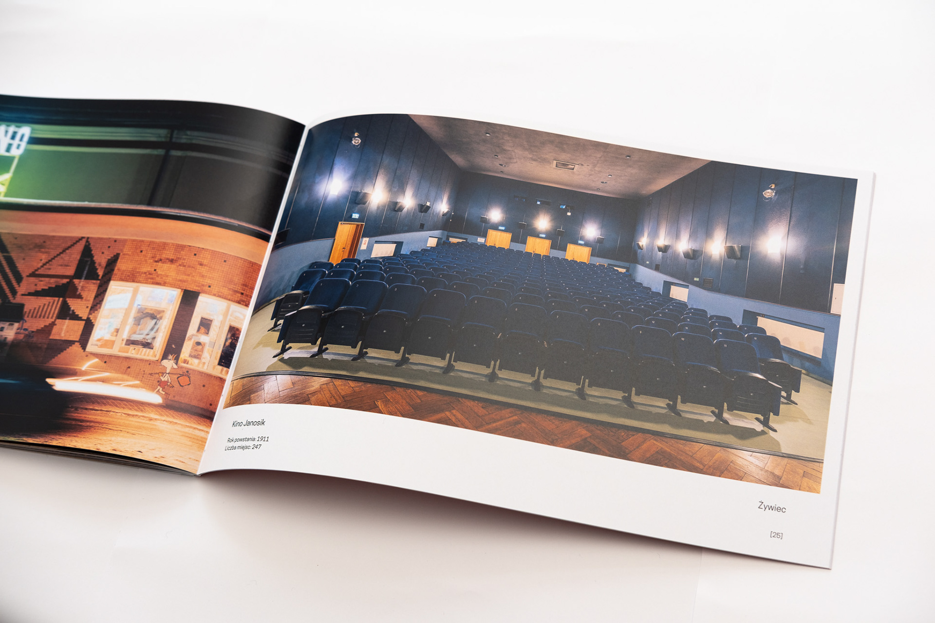 Kino Janosik - sala kinowa, Żywiec