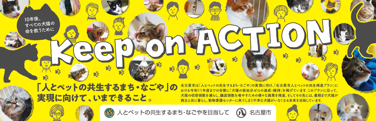 Di・C：古橋　　D：加藤