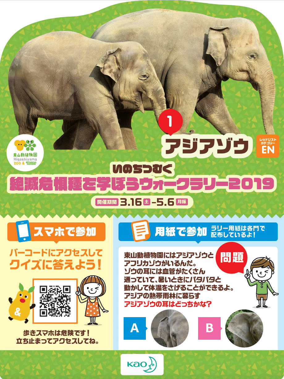 Di：古橋　D：加藤