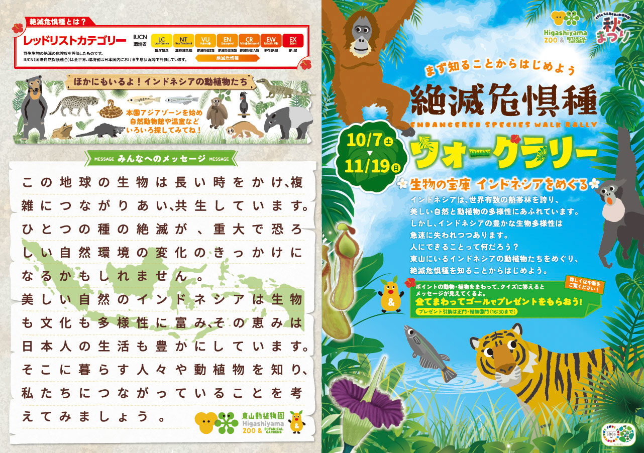 Di：古橋　D：早川