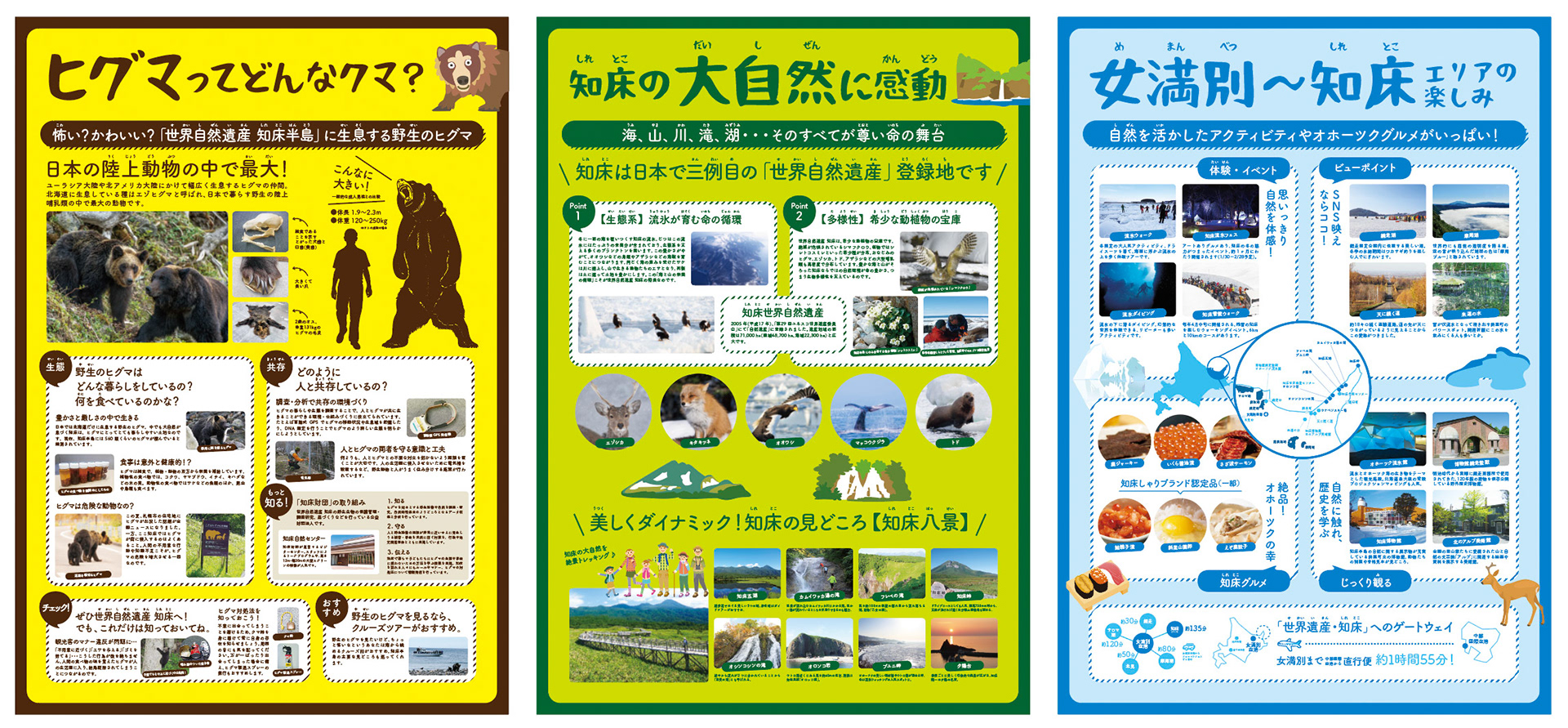 Di・C：古橋　D：加藤